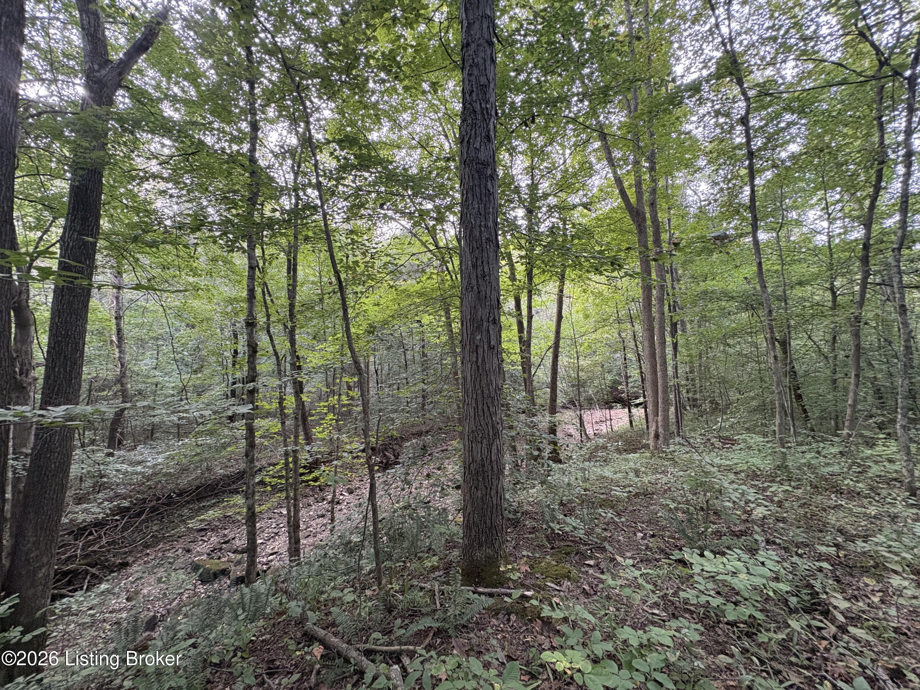 1012 Dowell Hardin Mills Rd Property Photo 45
