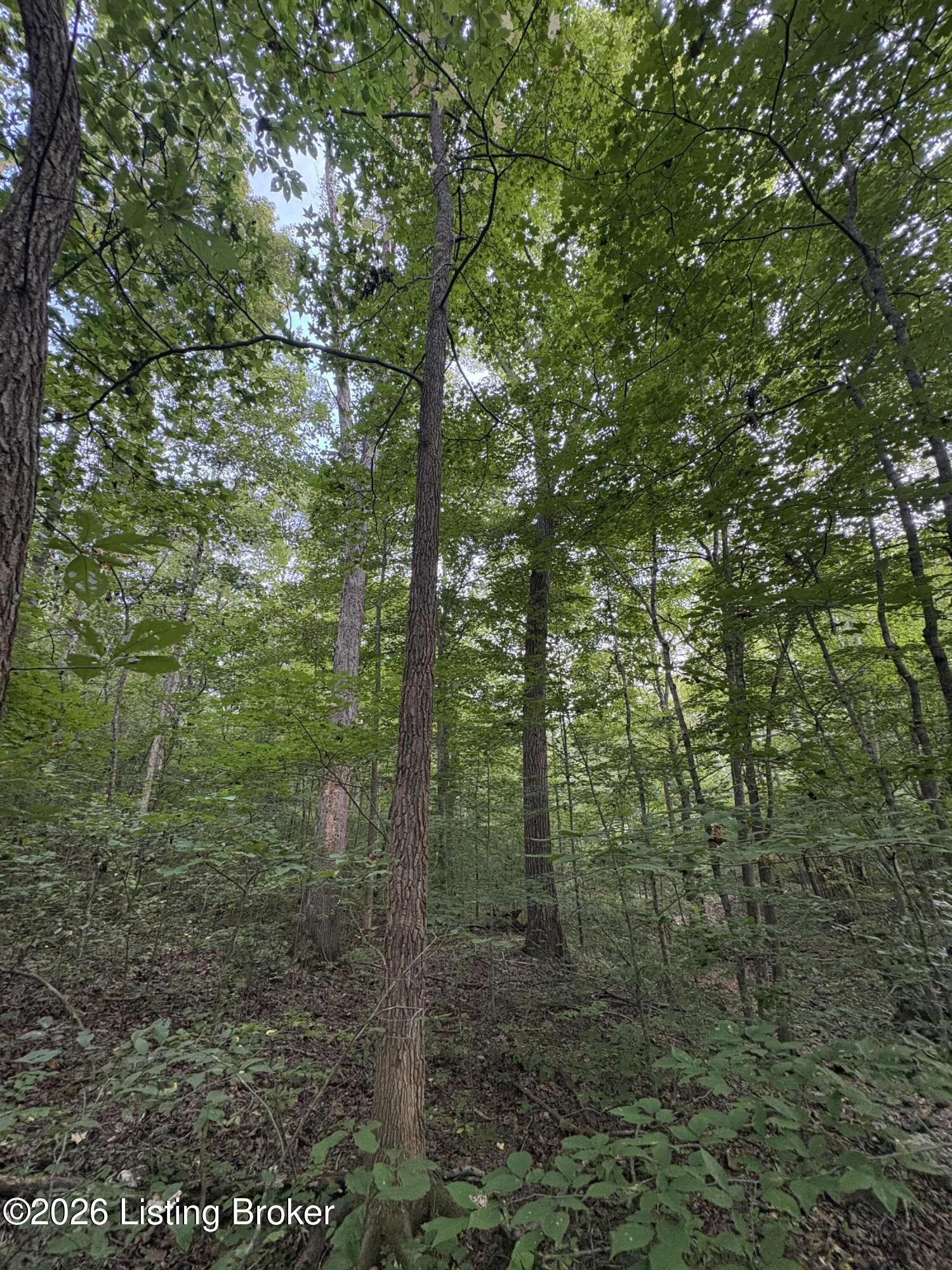 1012 Dowell Hardin Mills Rd Property Photo 47