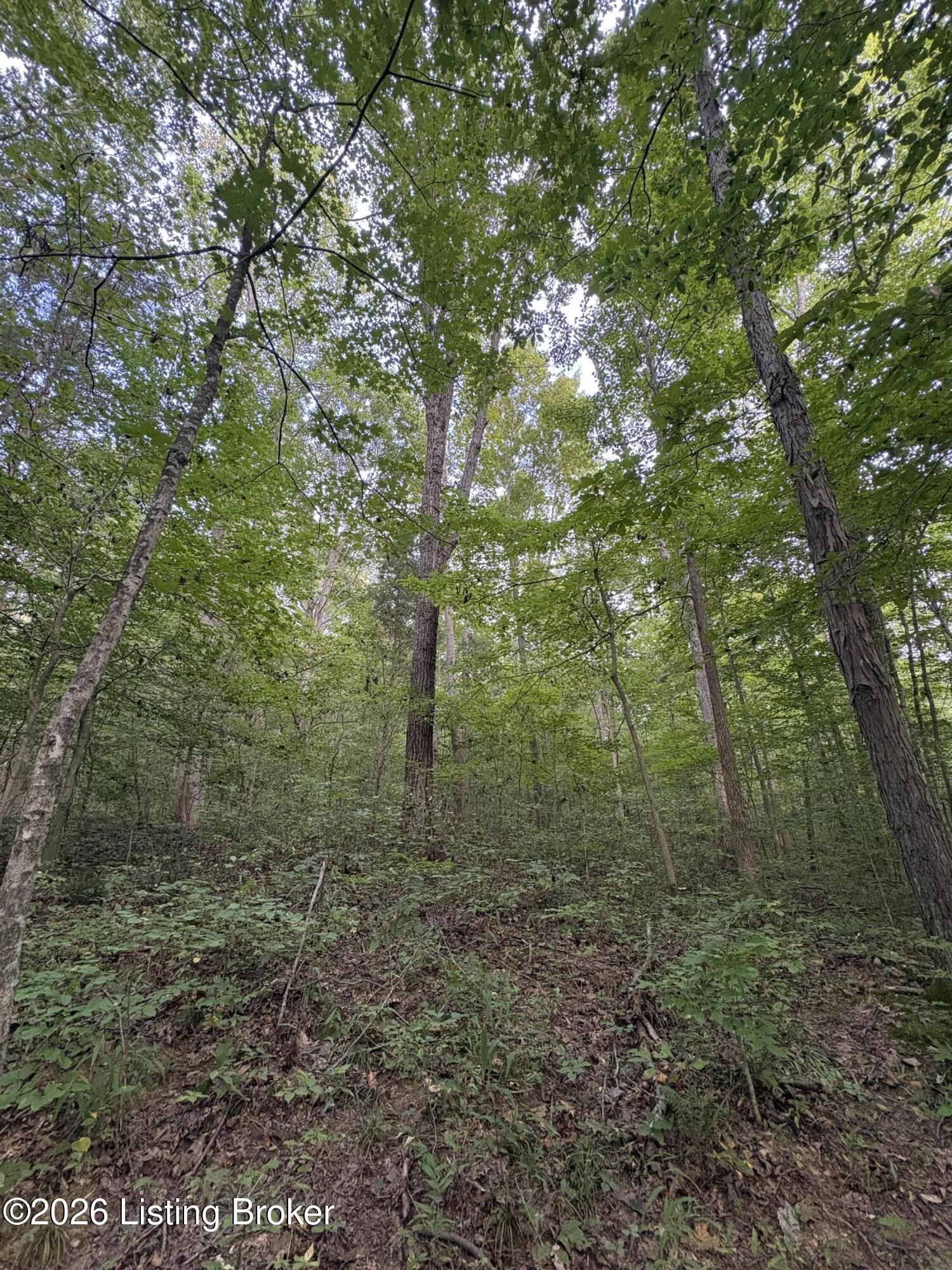 1012 Dowell Hardin Mills Rd Property Photo 48