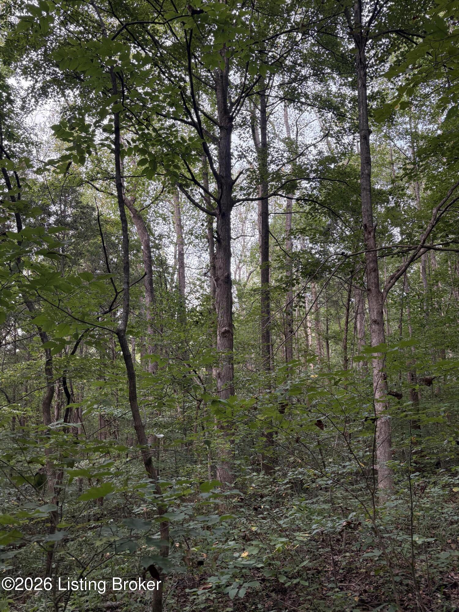 1012 Dowell Hardin Mills Rd Property Photo 51