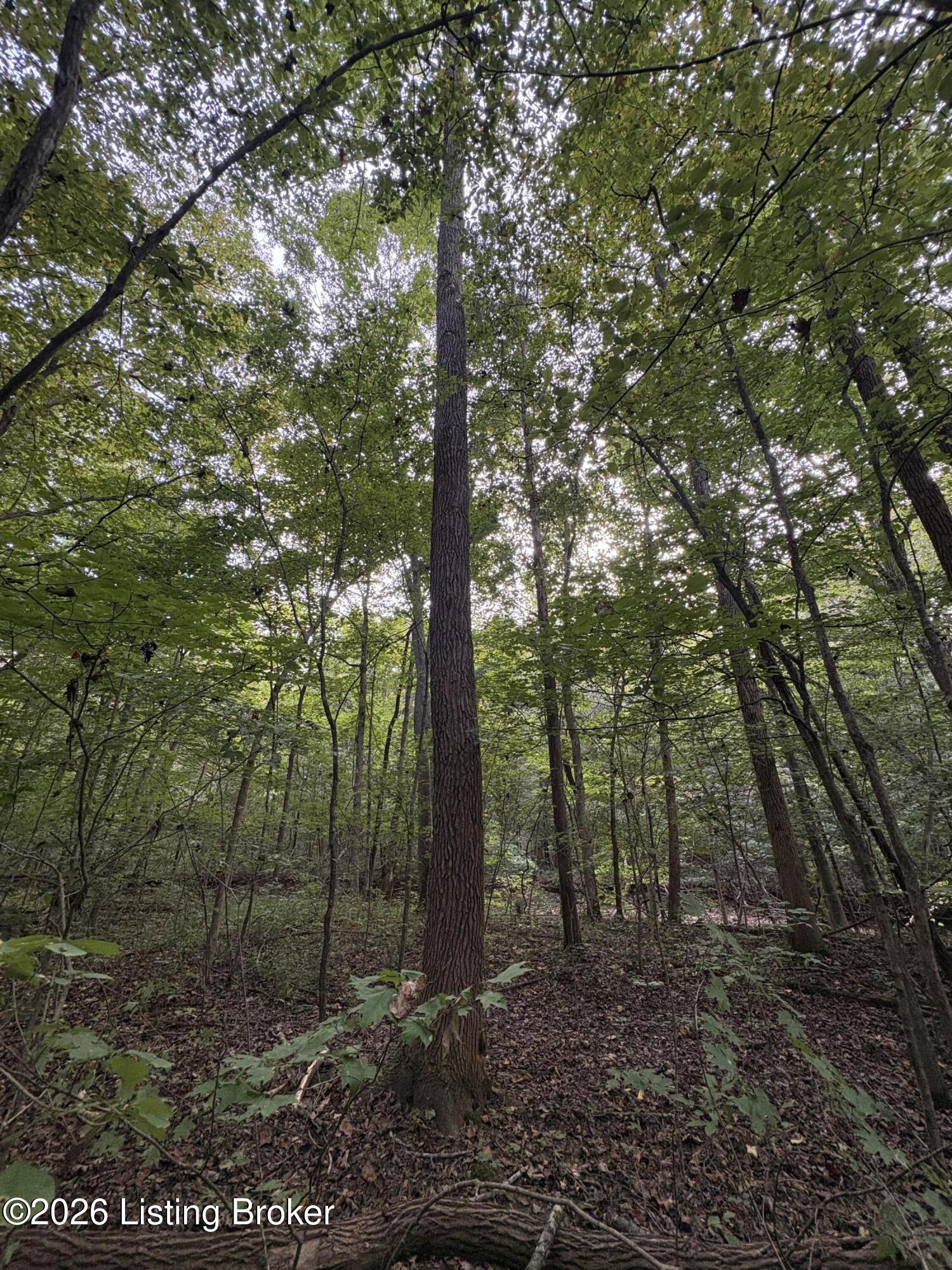 1012 Dowell Hardin Mills Rd Property Photo 52