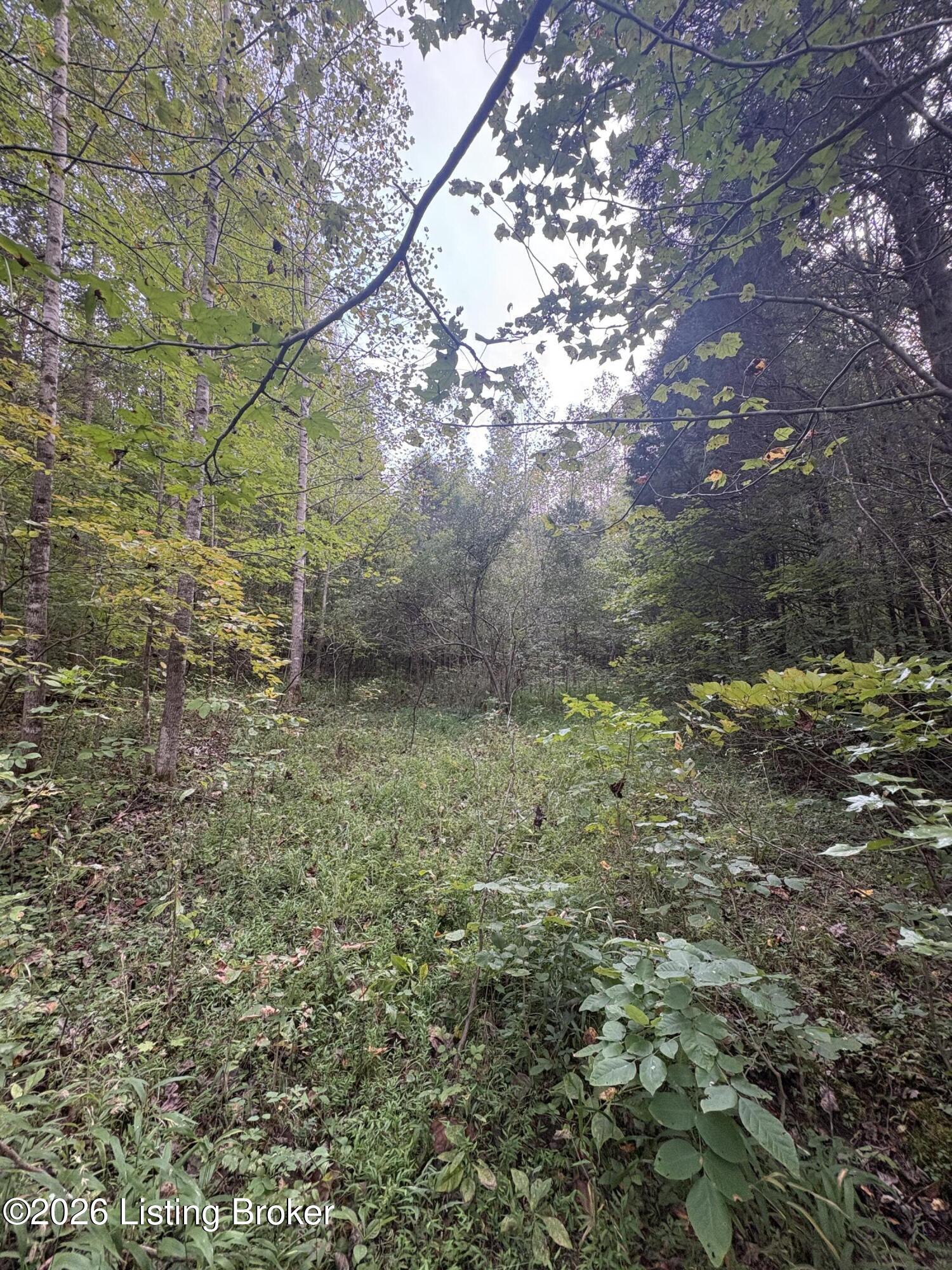 1012 Dowell Hardin Mills Rd Property Photo 53