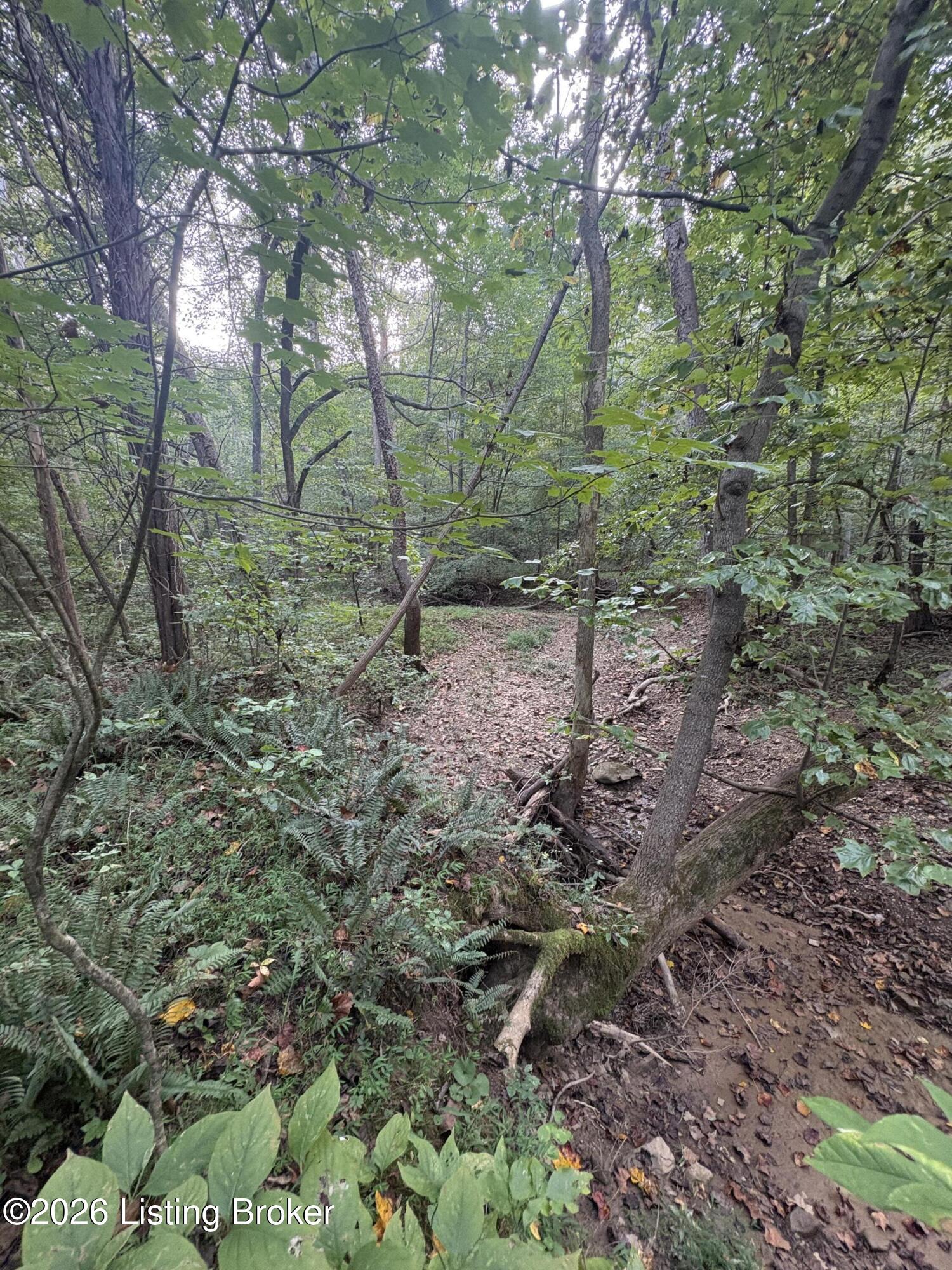 1012 Dowell Hardin Mills Rd Property Photo 54