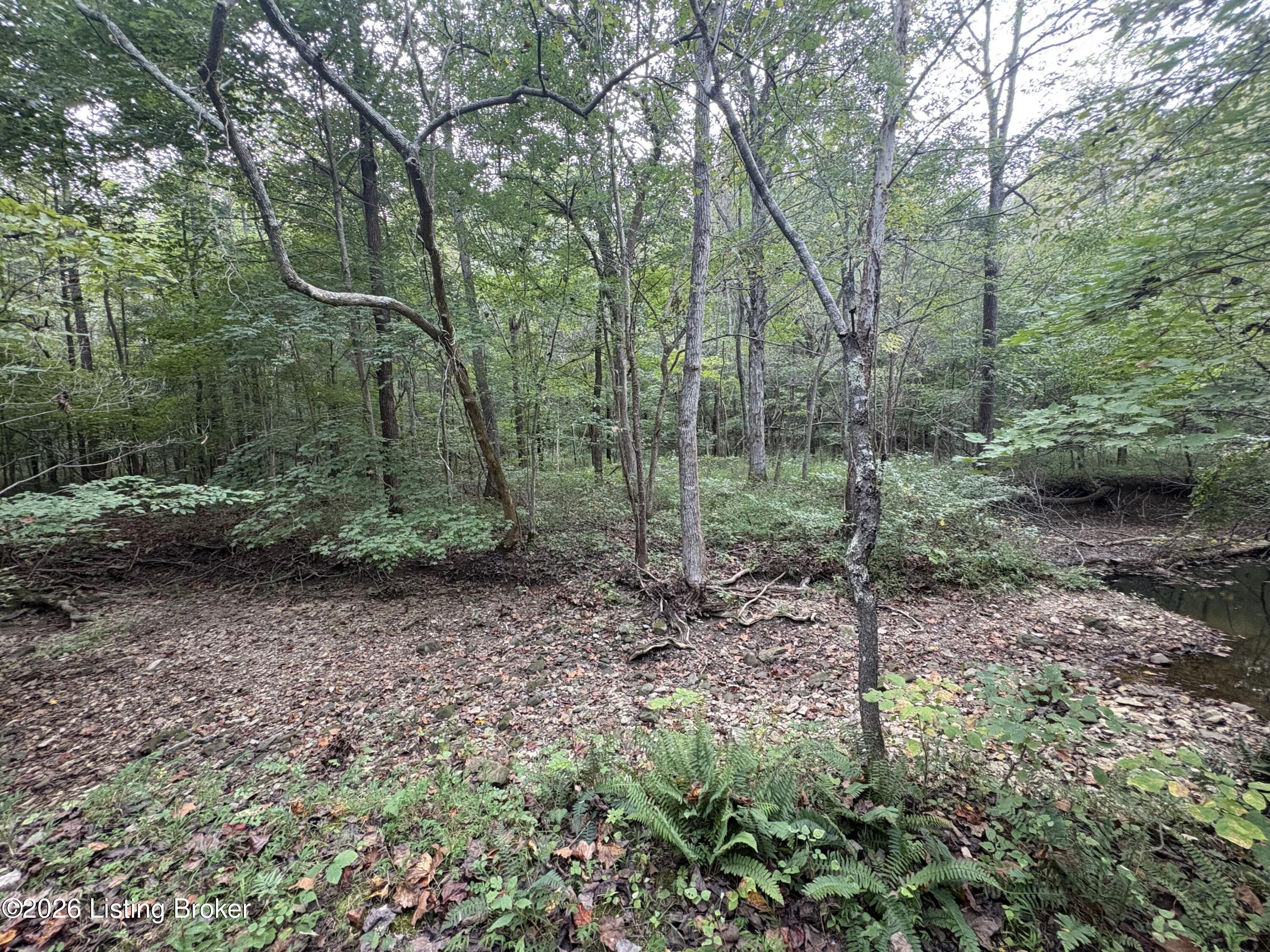 1012 Dowell Hardin Mills Rd Property Photo 55