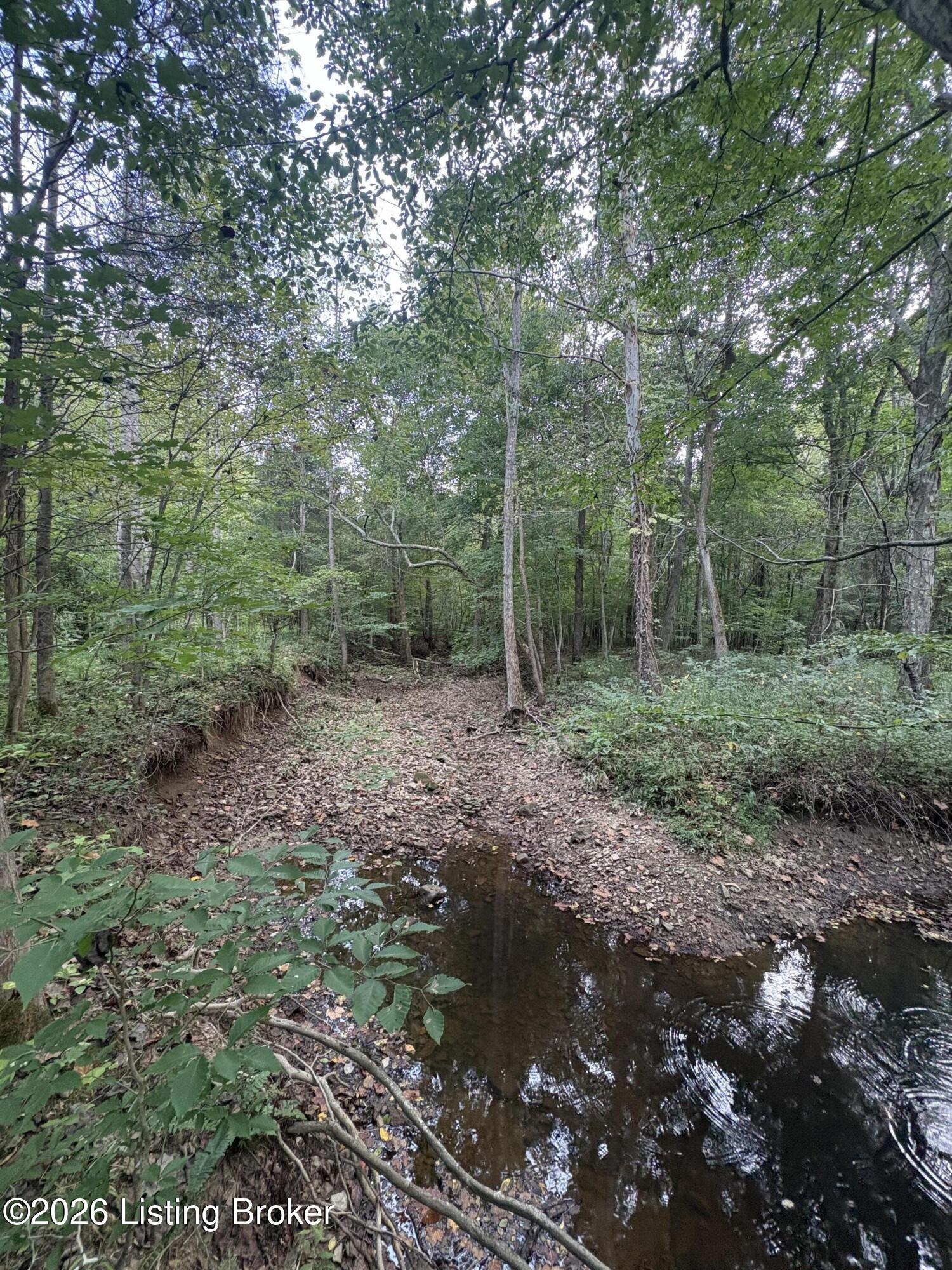 1012 Dowell Hardin Mills Rd Property Photo 58