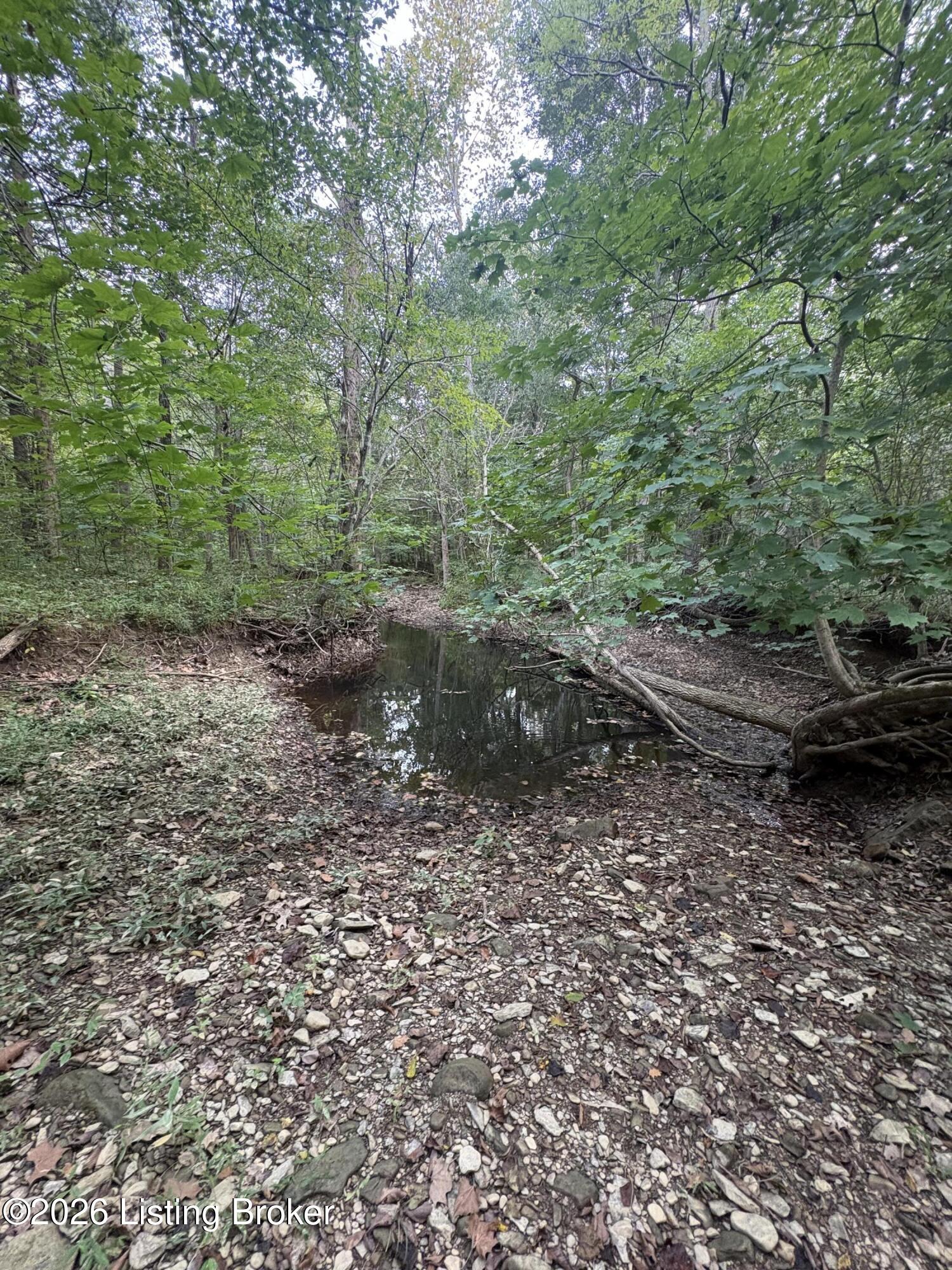 1012 Dowell Hardin Mills Rd Property Photo 59