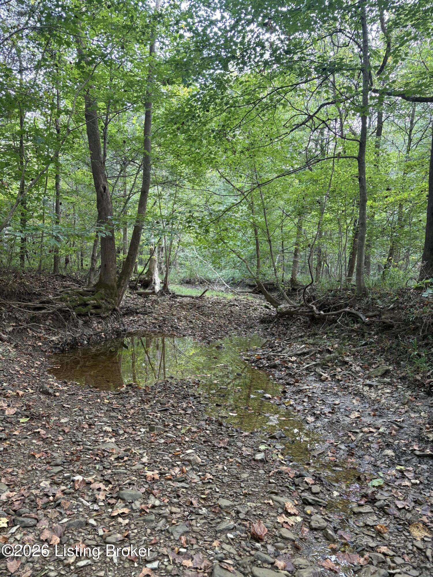 1012 Dowell Hardin Mills Rd Property Photo 61