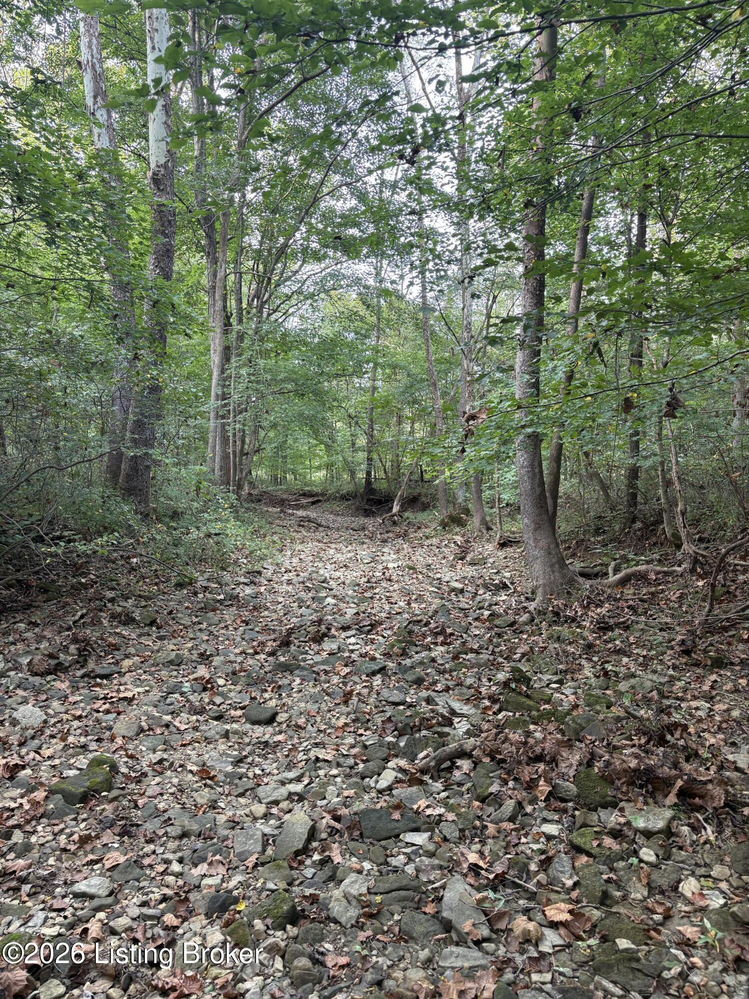 1012 Dowell Hardin Mills Rd Property Photo 62