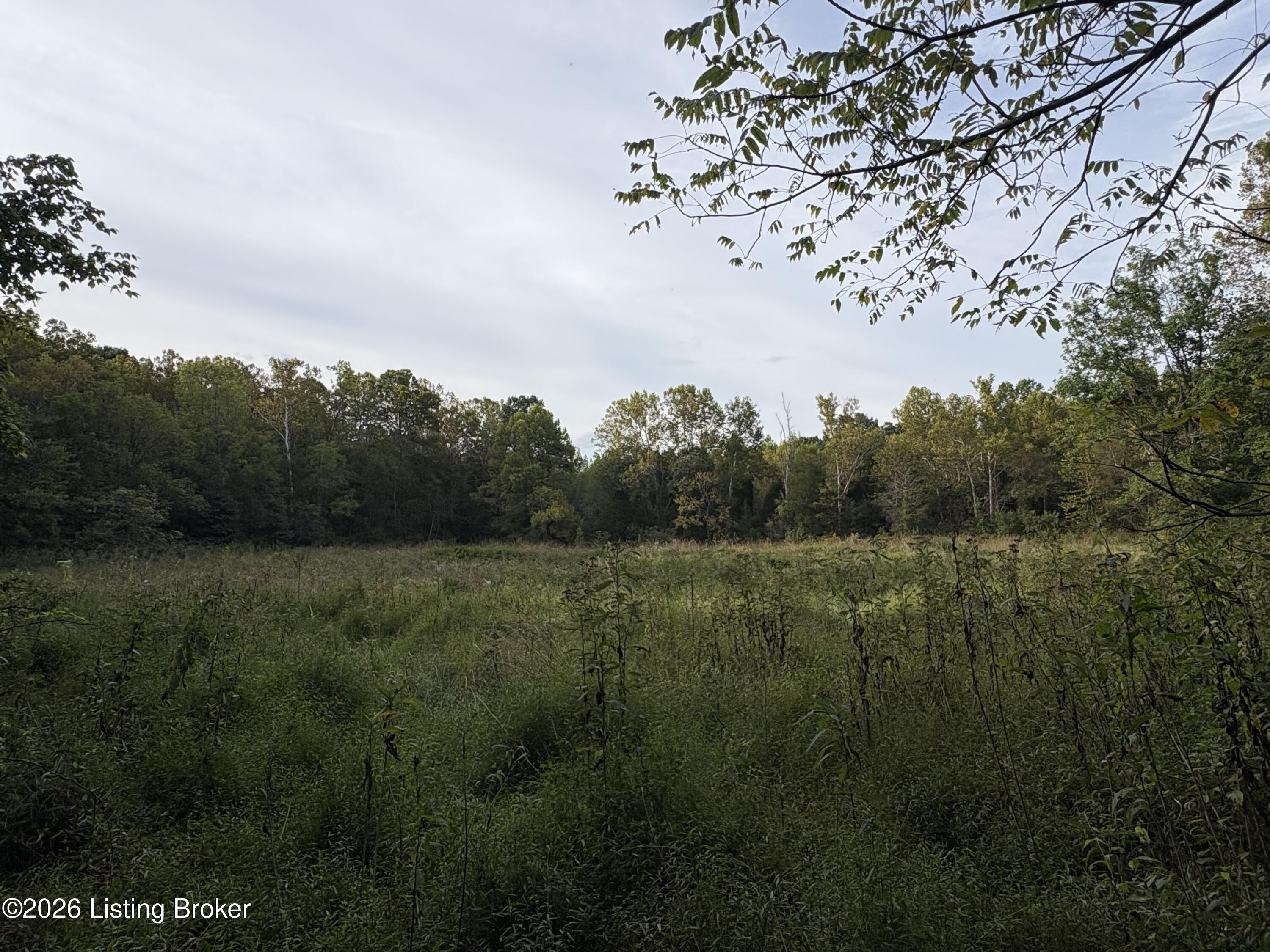 1012 Dowell Hardin Mills Rd Property Photo 63