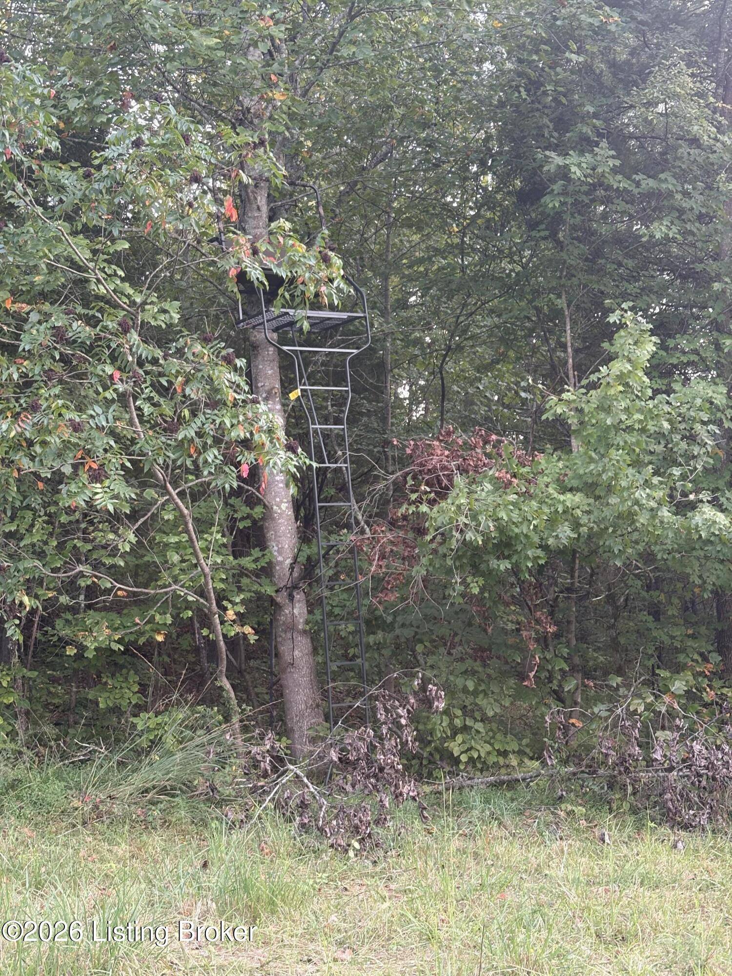 1012 Dowell Hardin Mills Rd Property Photo 65