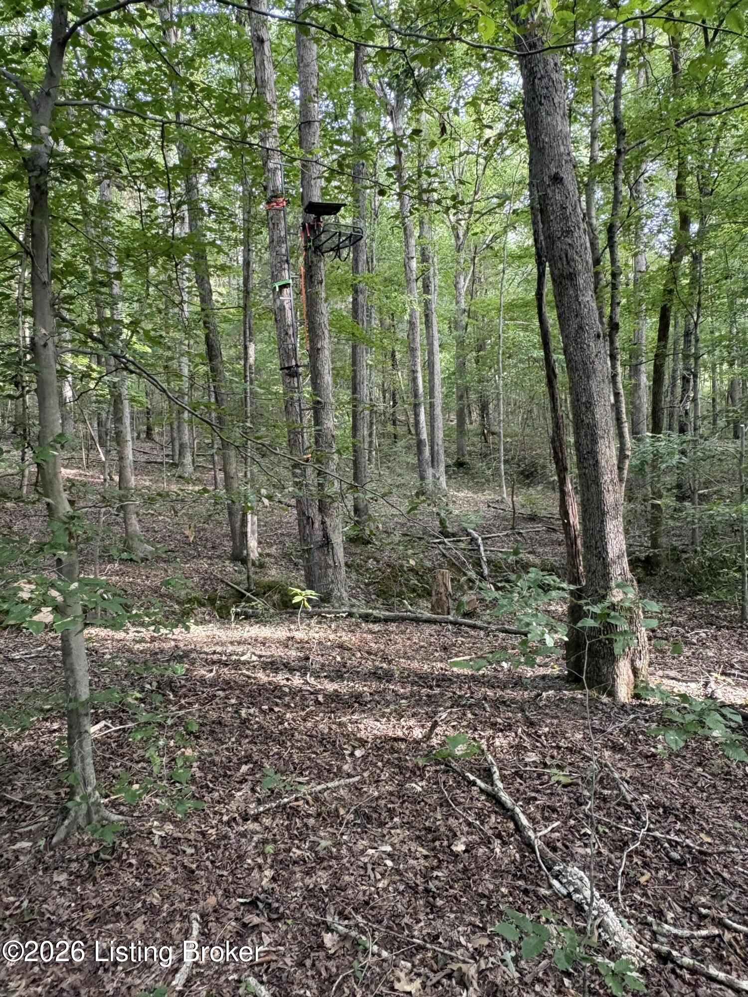 1012 Dowell Hardin Mills Rd Property Photo 69