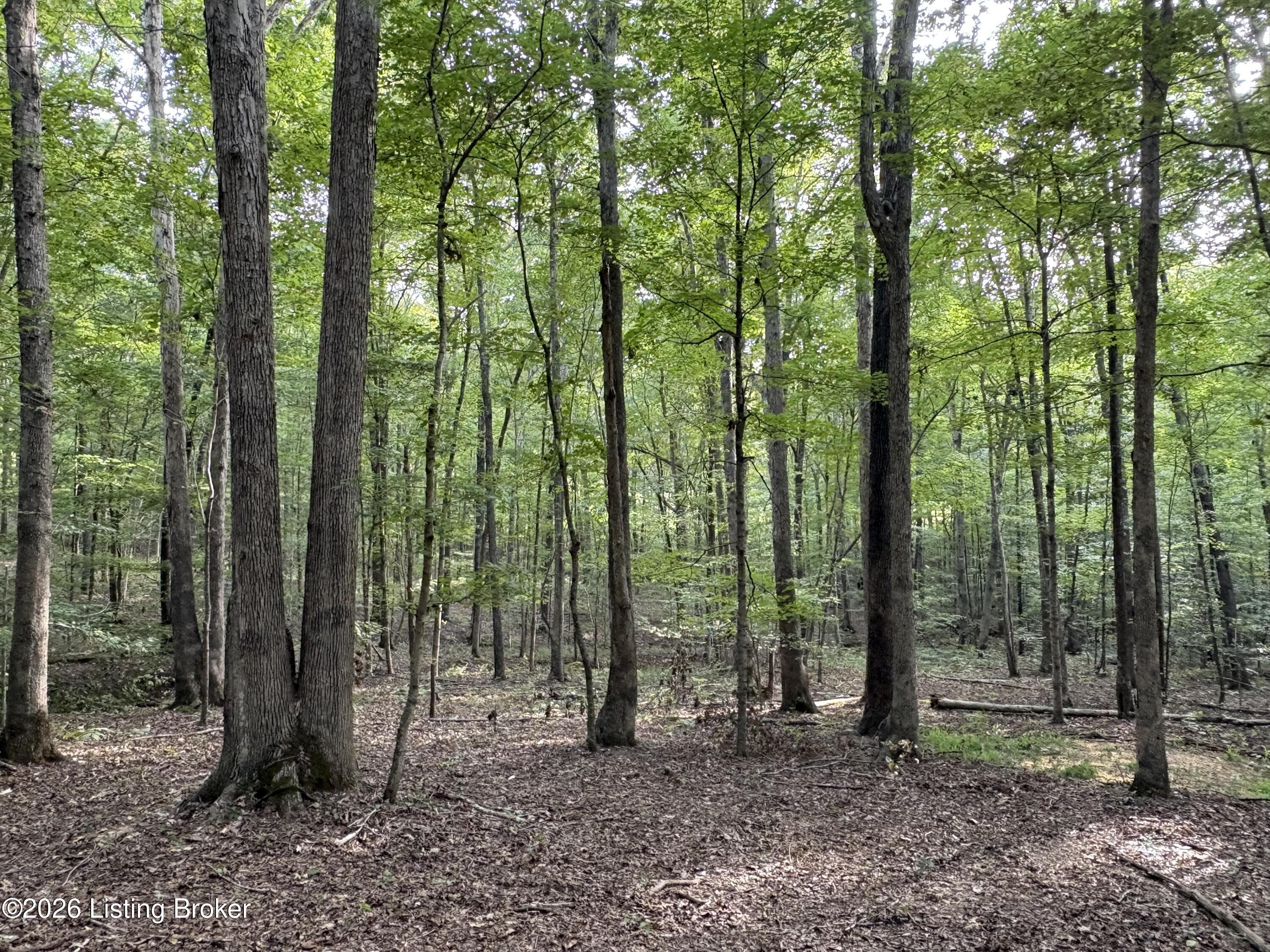 1012 Dowell Hardin Mills Rd Property Photo 70