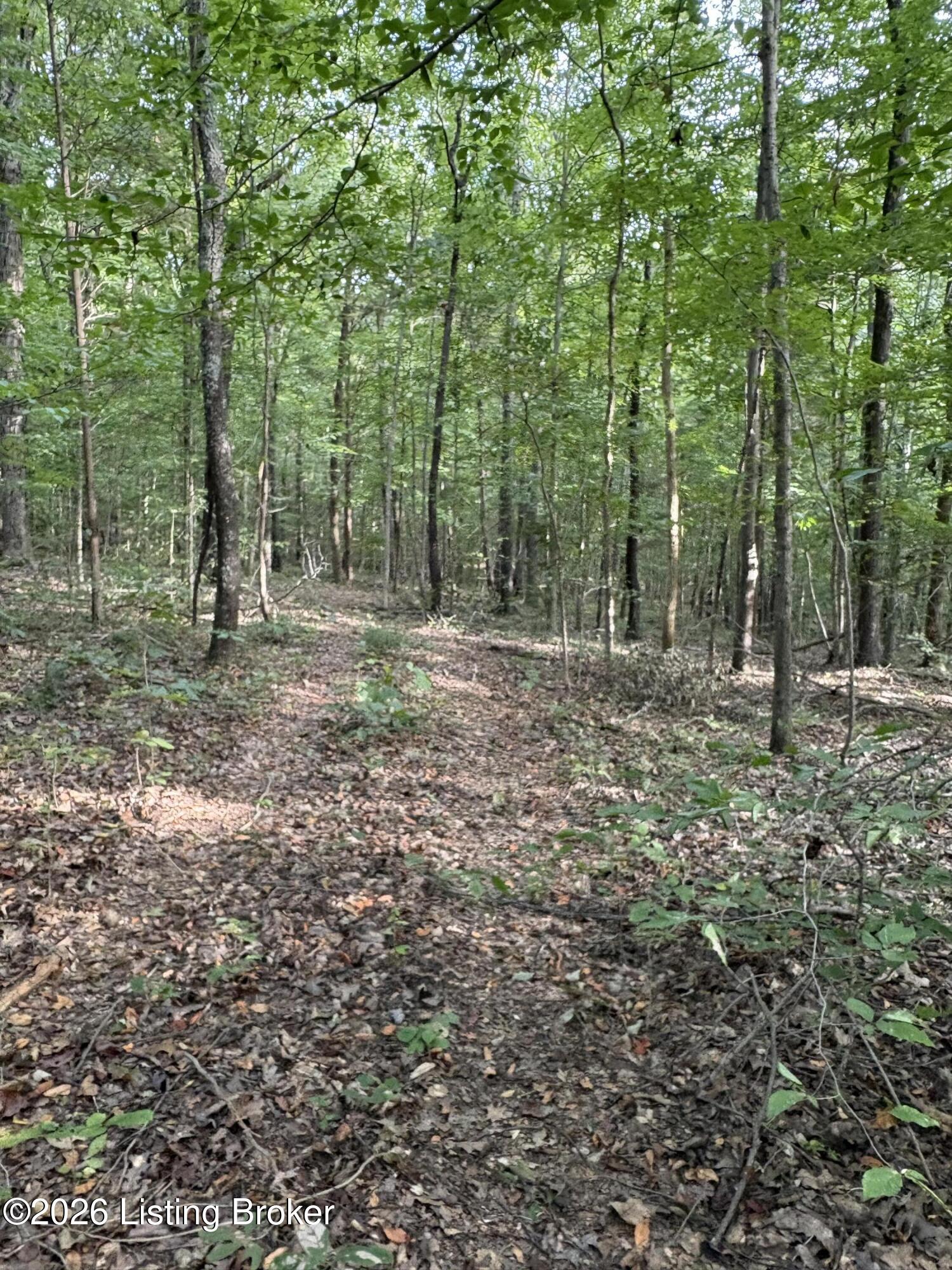 1012 Dowell Hardin Mills Rd Property Photo 71