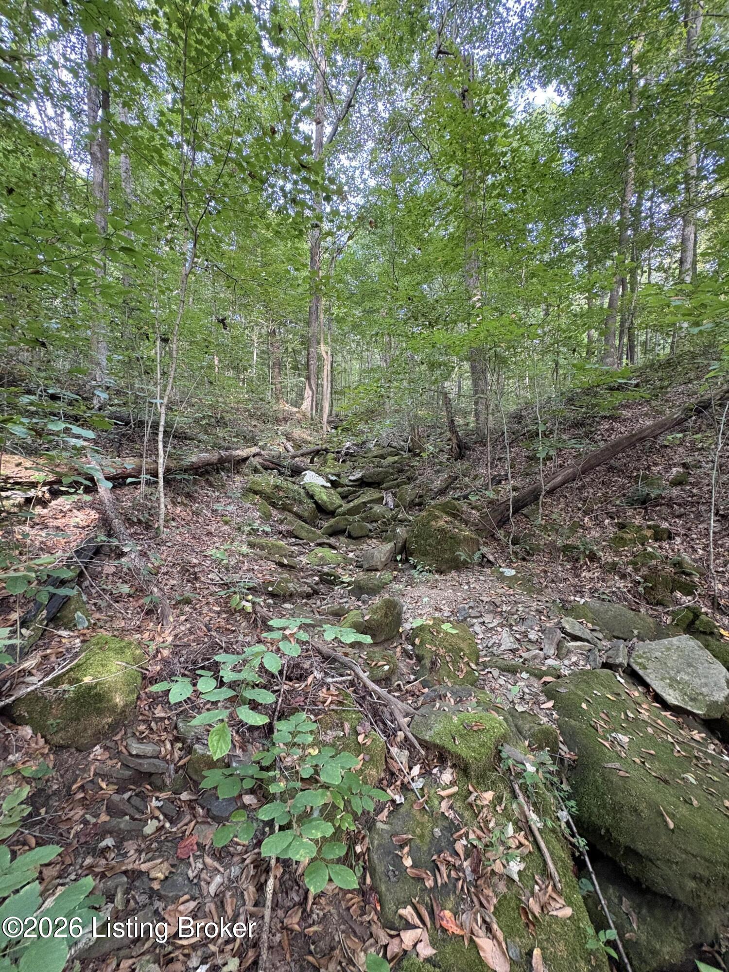 1012 Dowell Hardin Mills Rd Property Photo 72