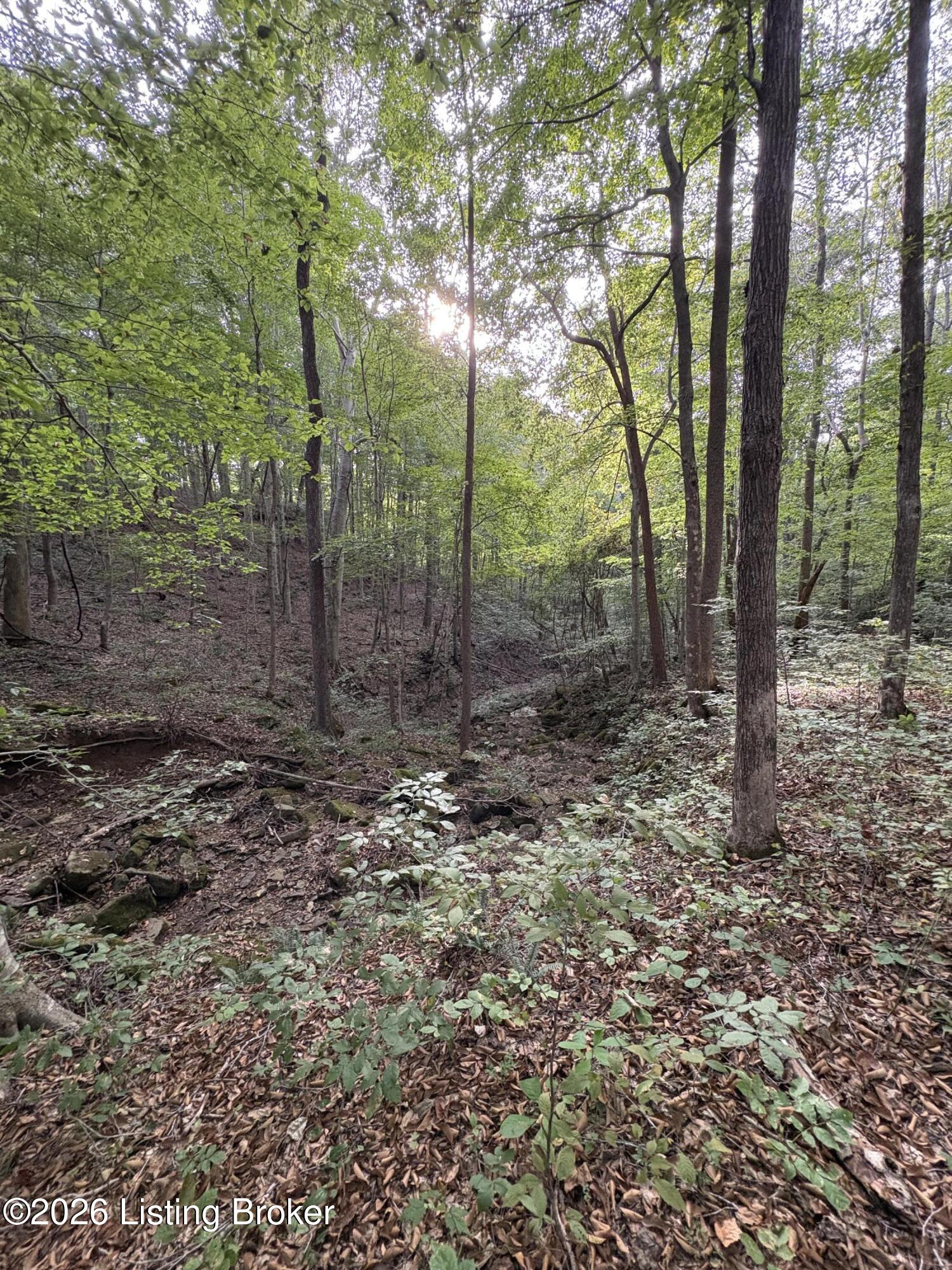 1012 Dowell Hardin Mills Rd Property Photo 73