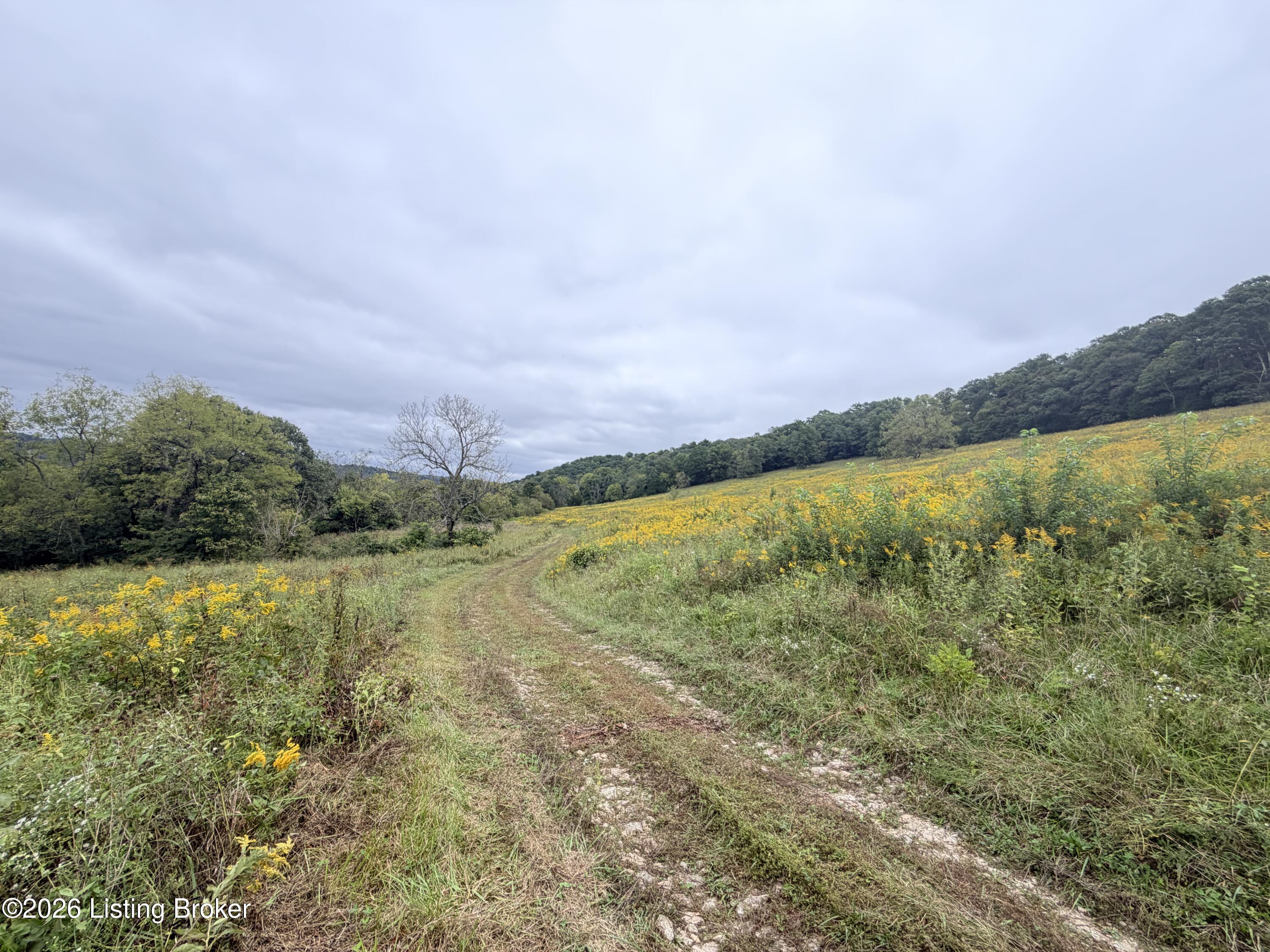 0 Hwy 355 Property Photo 1
