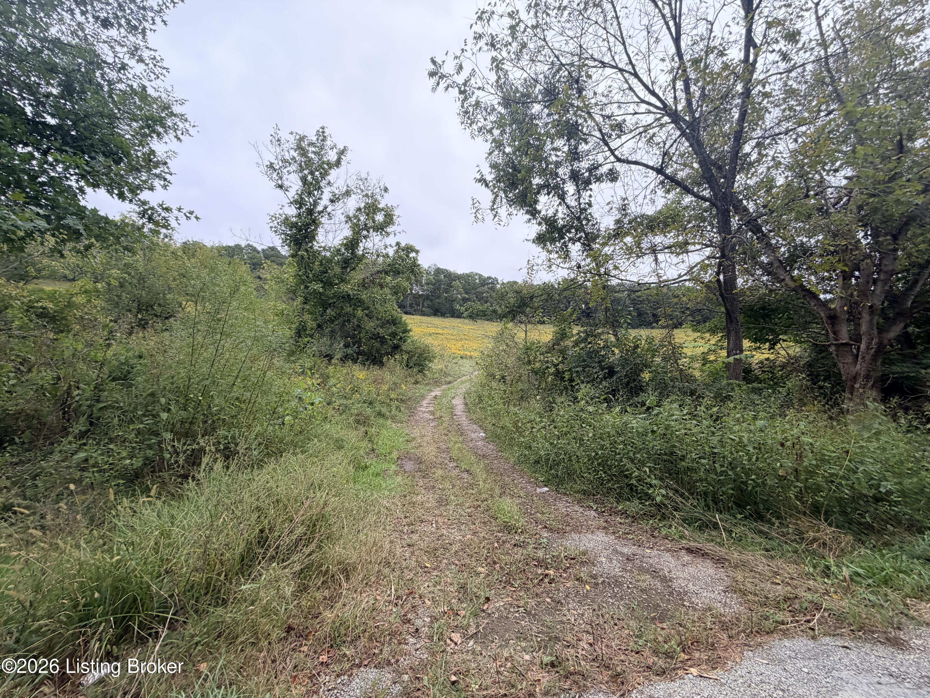 0 Hwy 355 Property Photo 13