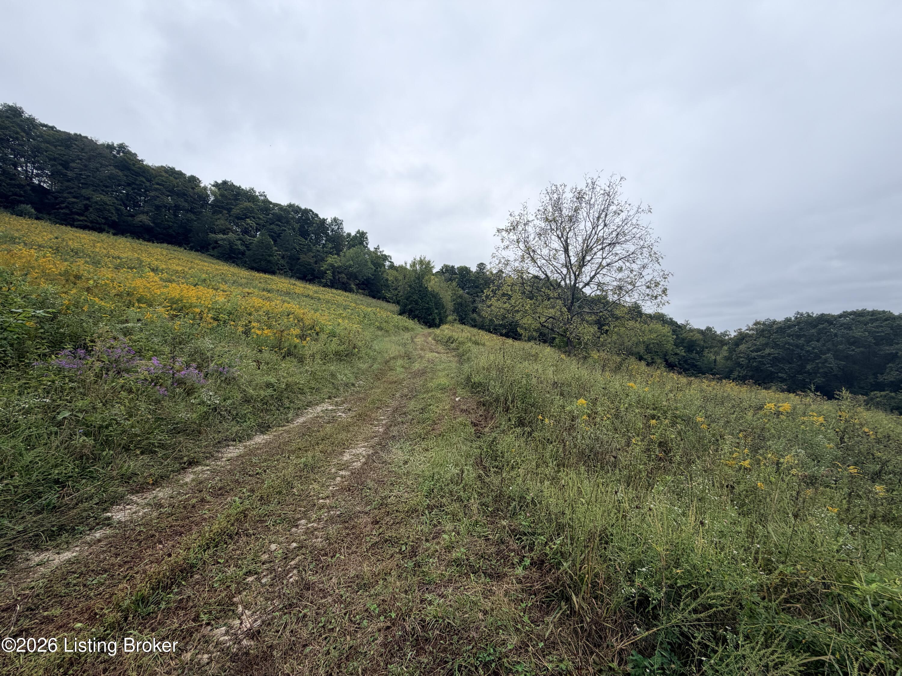 0 Hwy 355 Property Photo 15