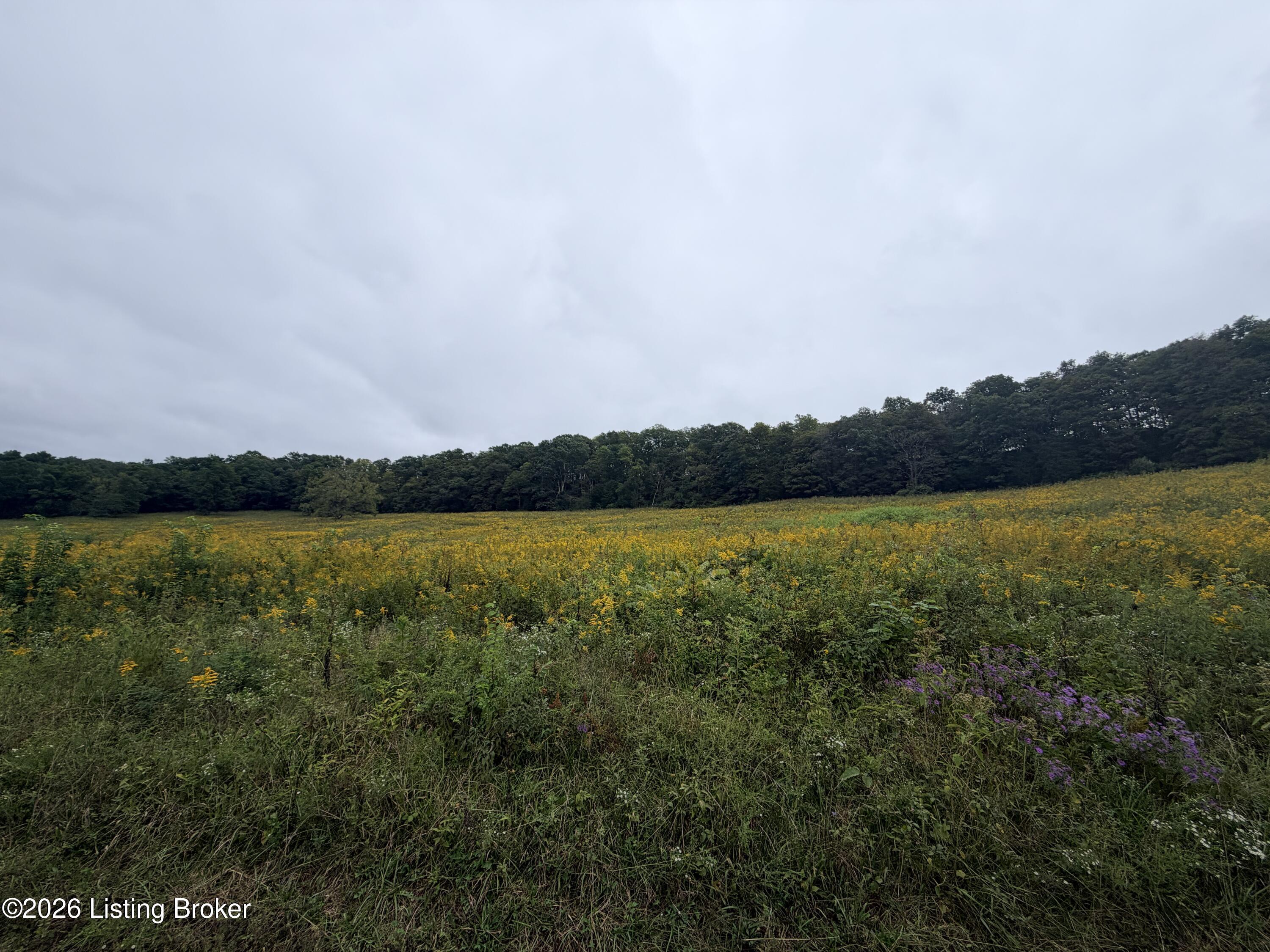 0 Hwy 355 Property Photo 16