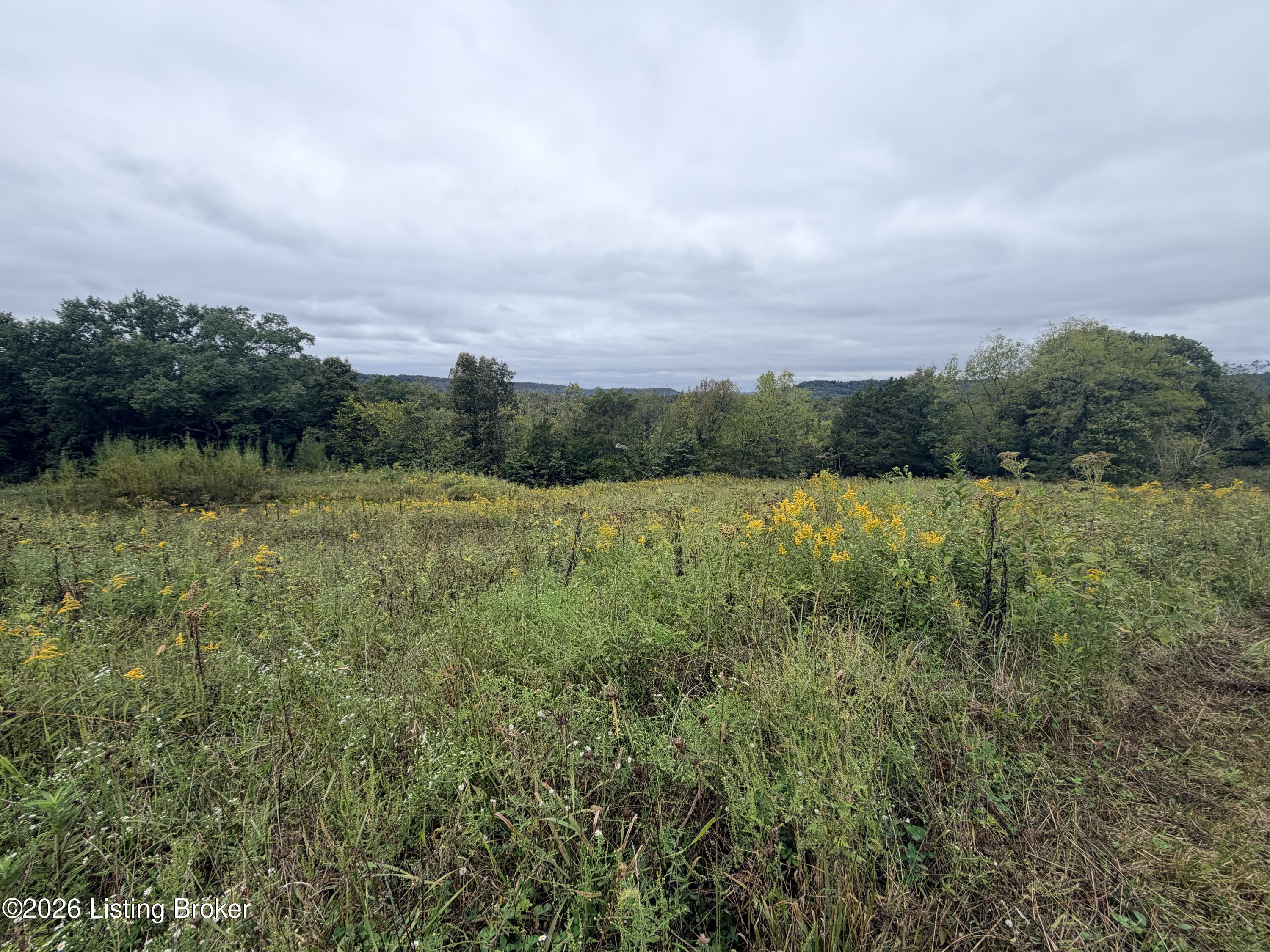 0 Hwy 355 Property Photo 17