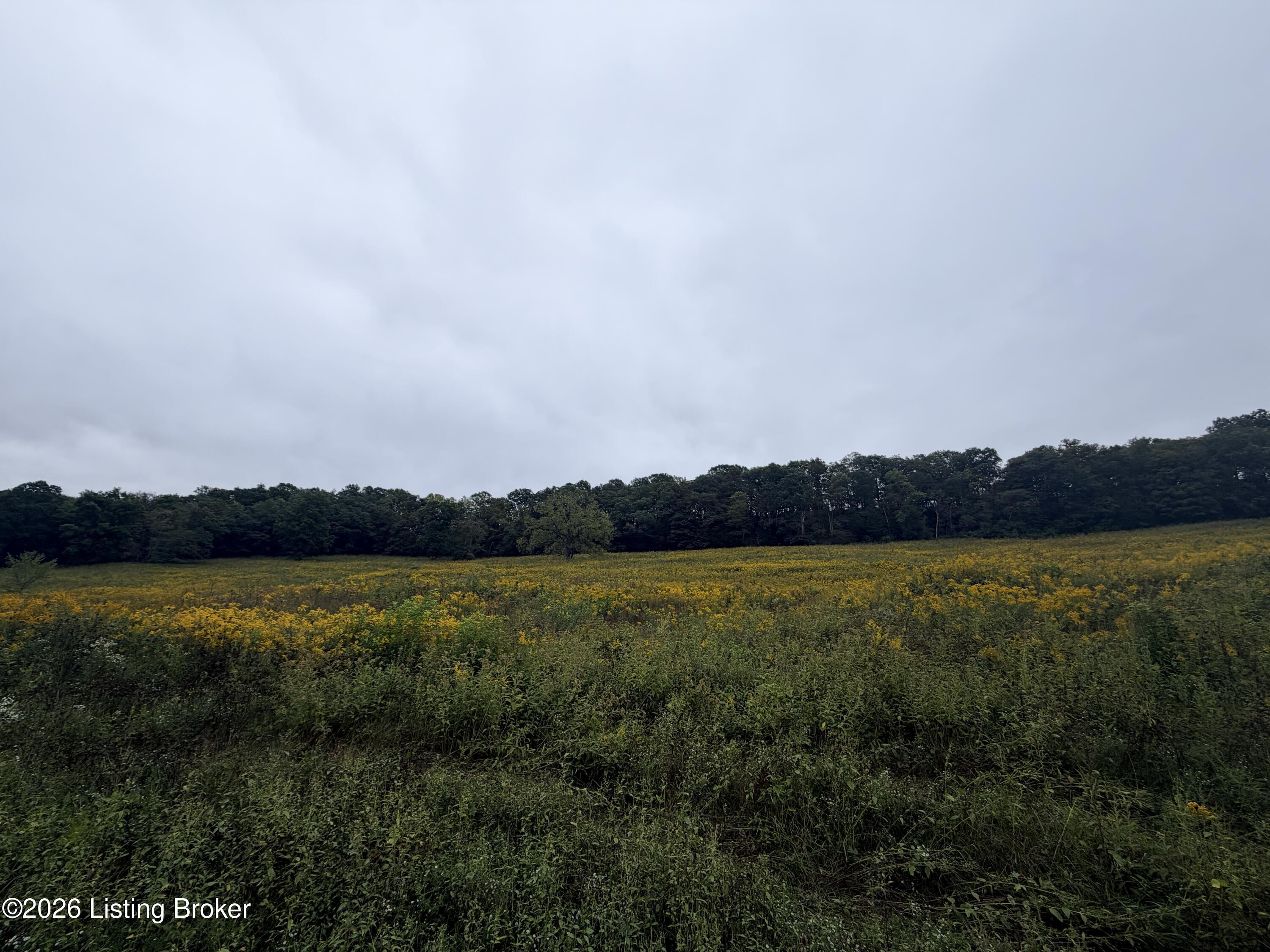 0 Hwy 355 Property Photo 19
