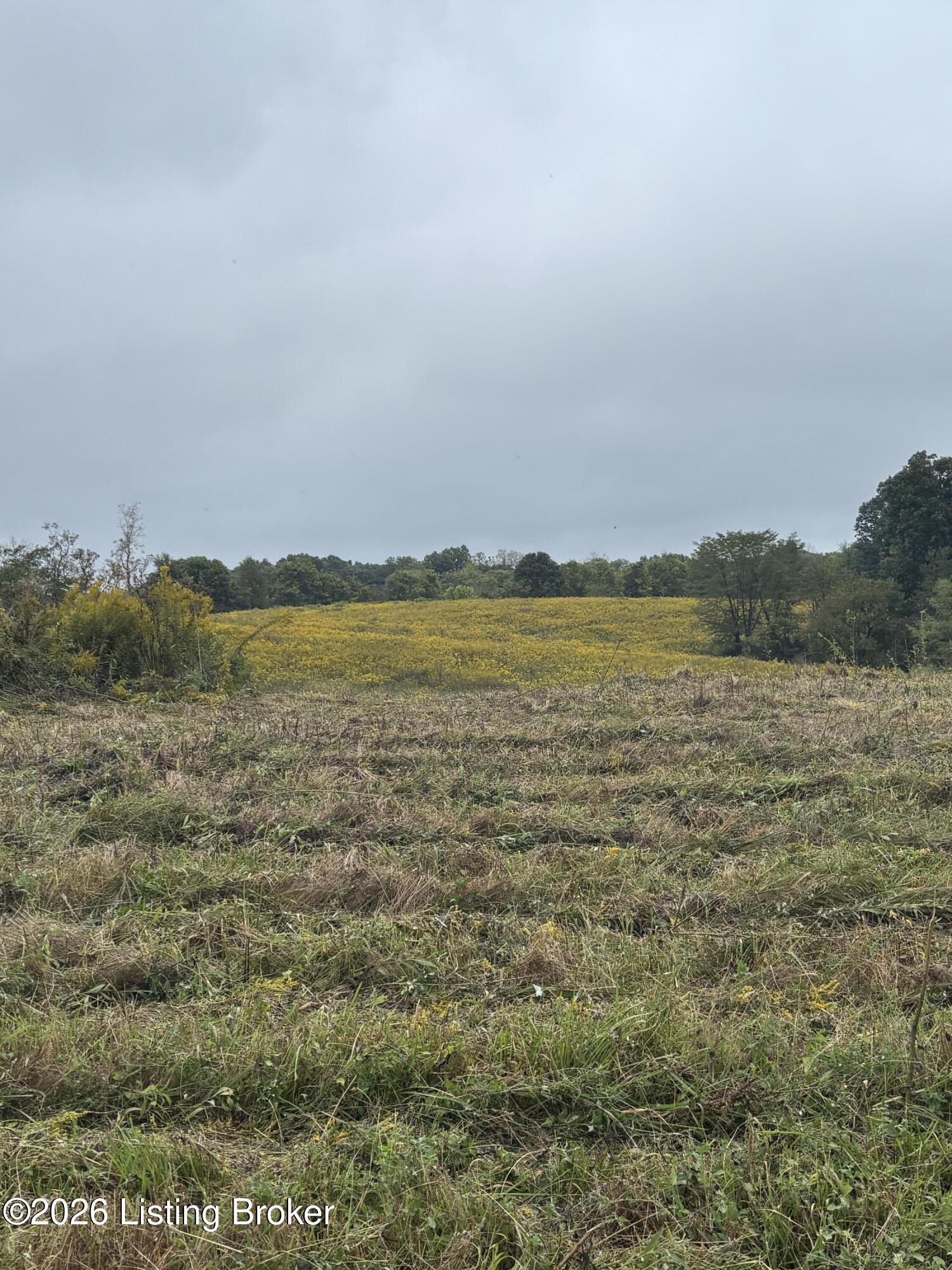 0 Hwy 355 Property Photo 22