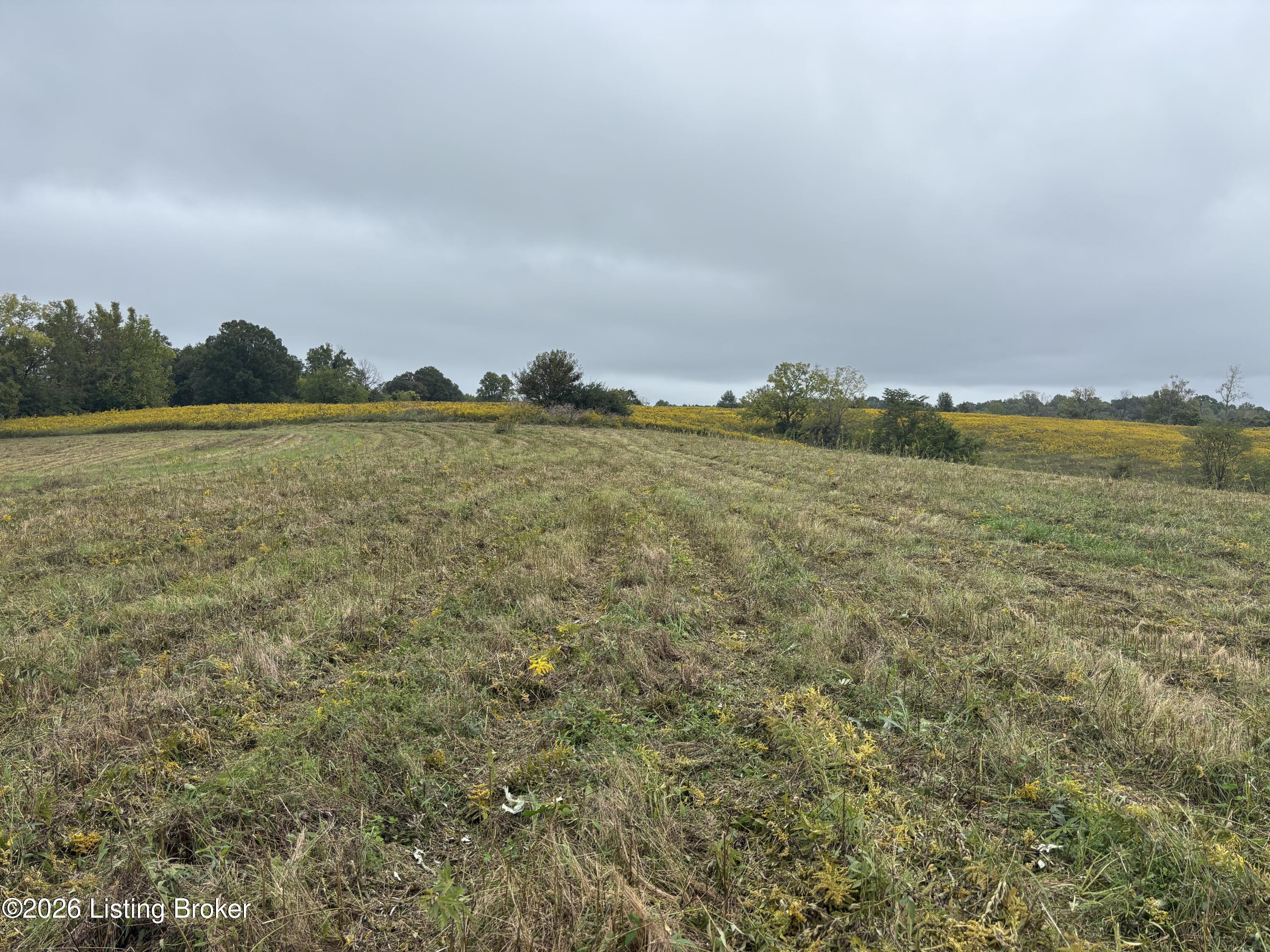 0 Hwy 355 Property Photo 23