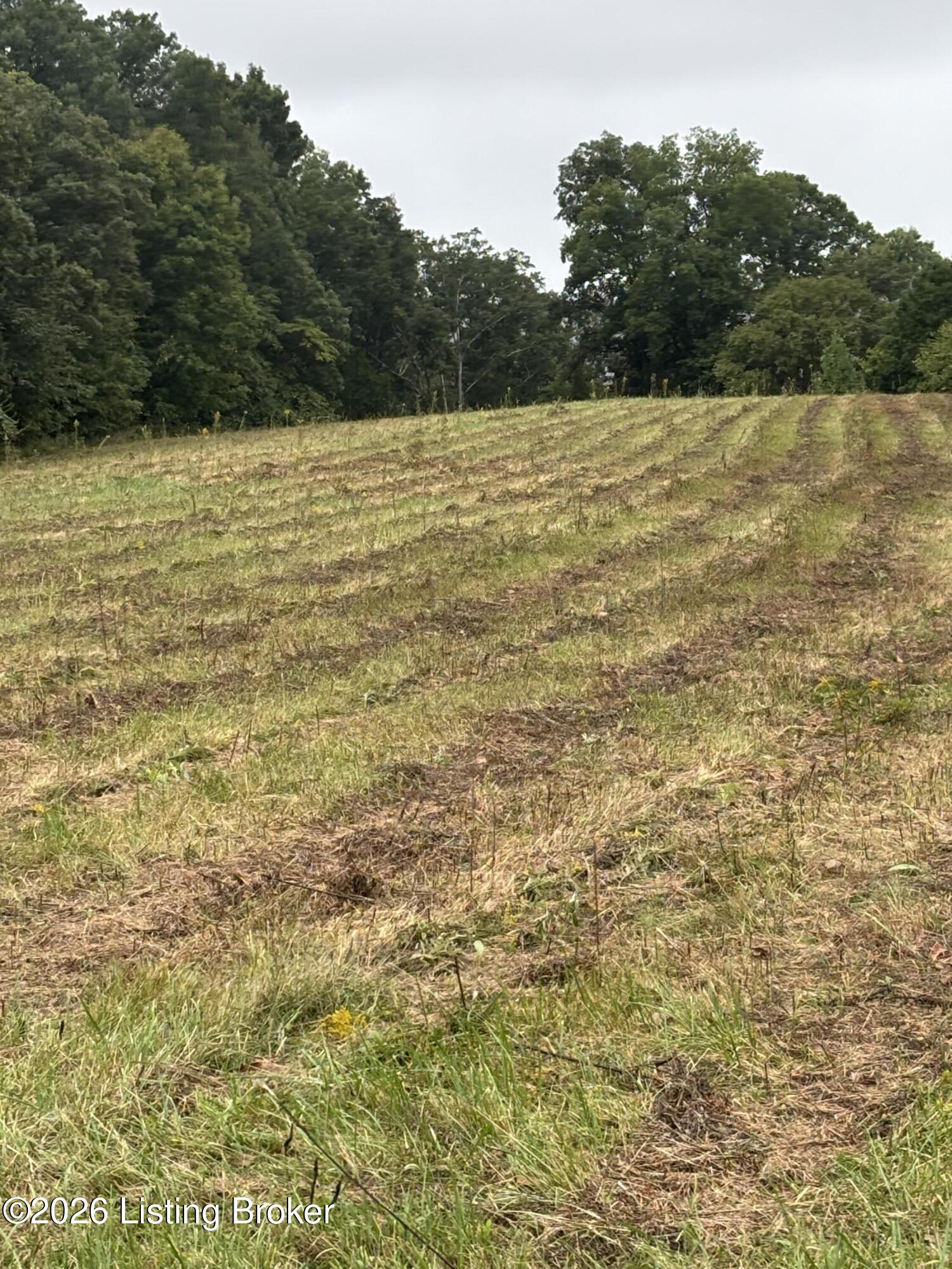 0 Hwy 355 Property Photo 24
