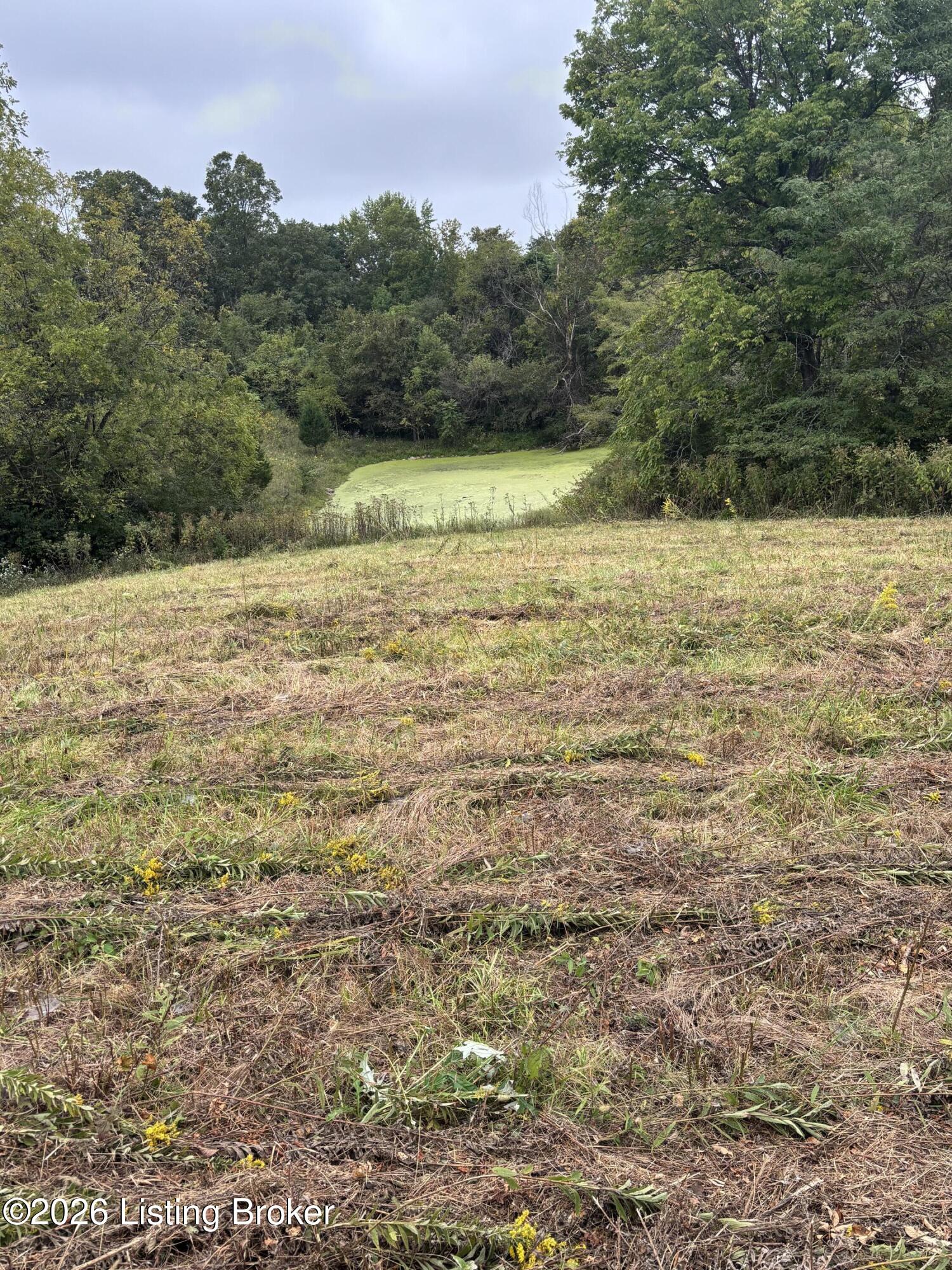 0 Hwy 355 Property Photo 26