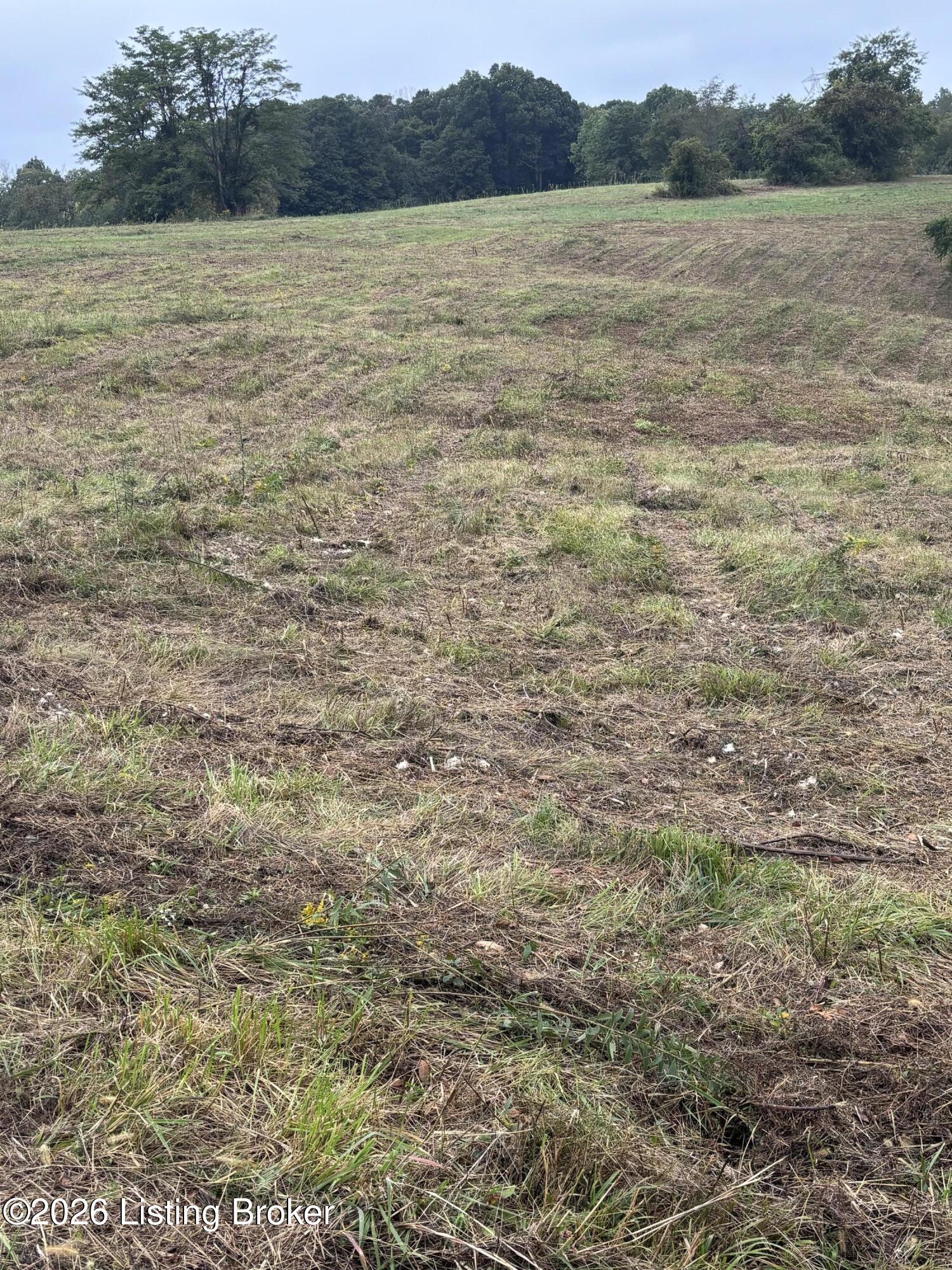 0 Hwy 355 Property Photo 29