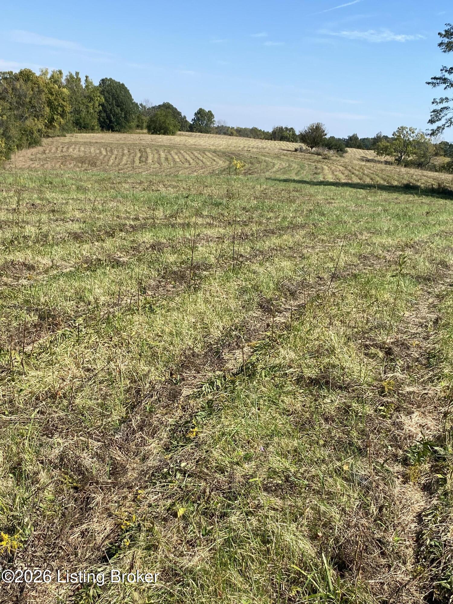 0 Hwy 355 Property Photo 32