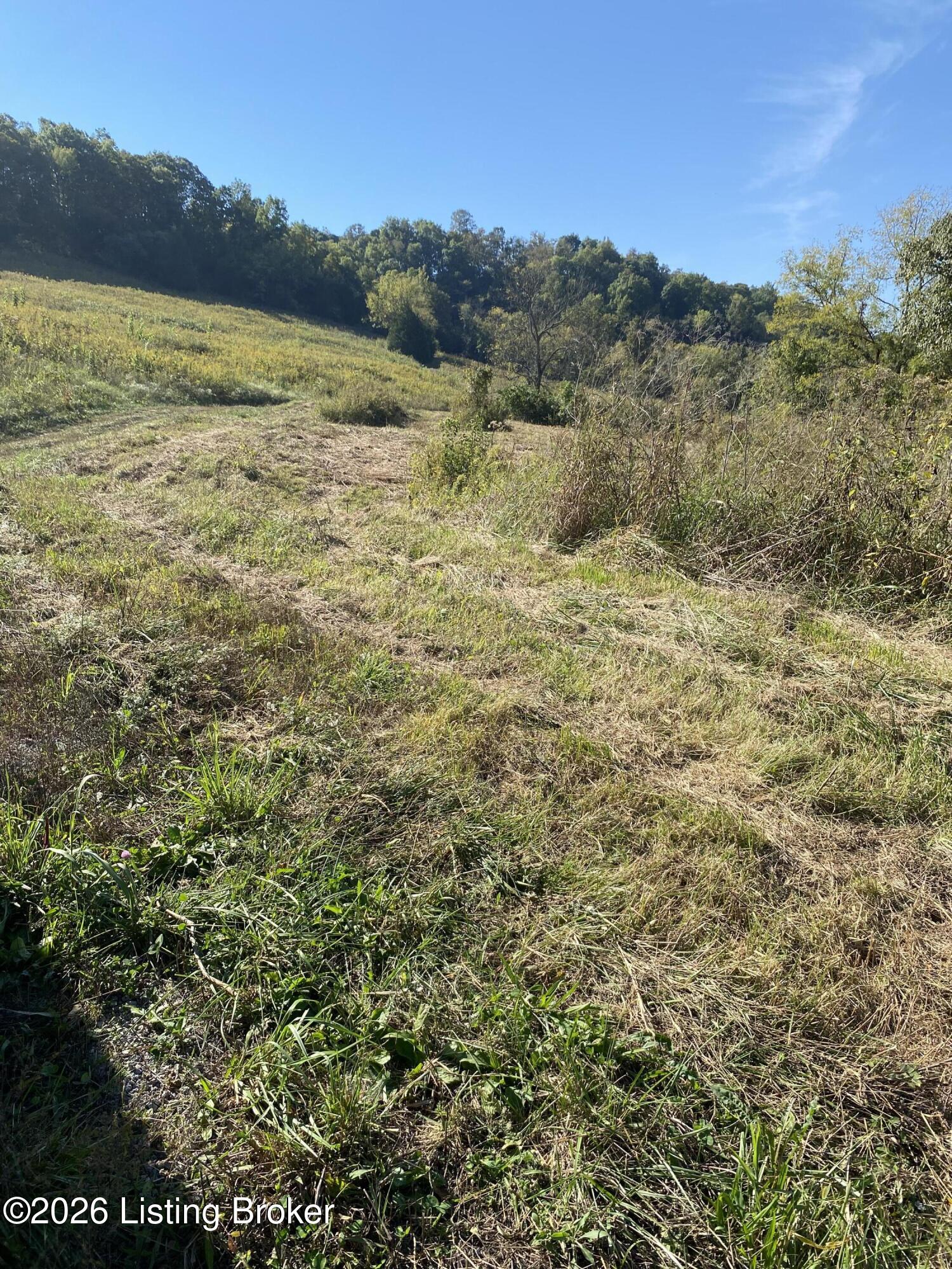 0 Hwy 355 Property Photo 37