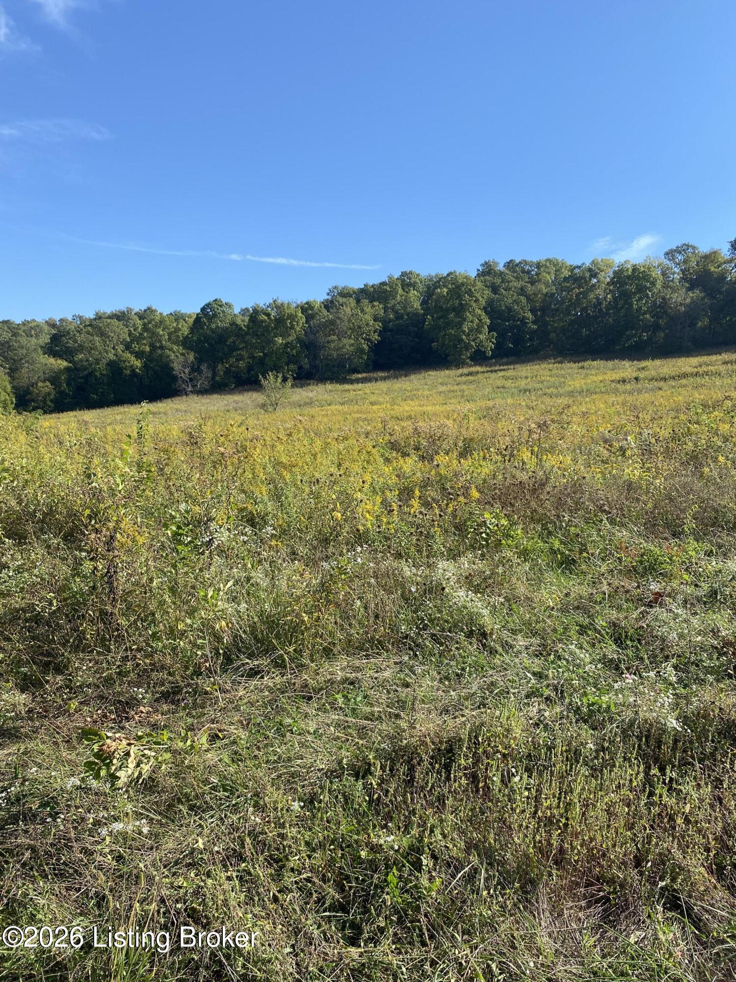 0 Hwy 355 Property Photo 38