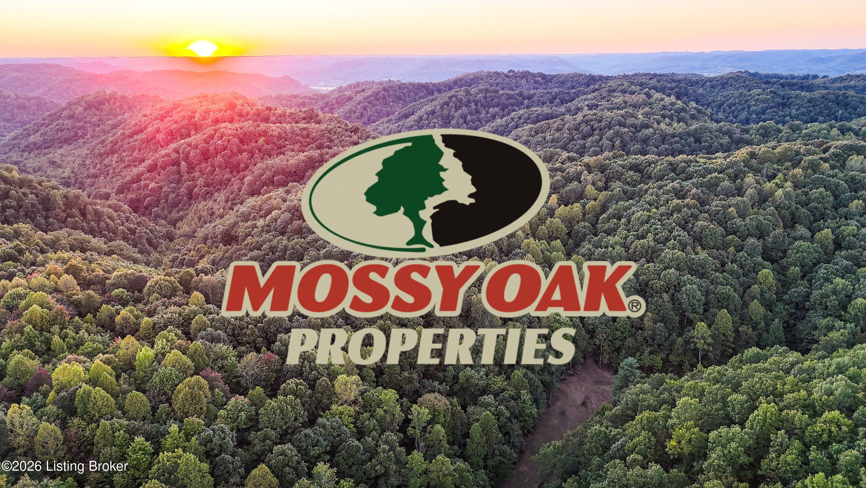0 Dry Fork Rd Property Photo 1