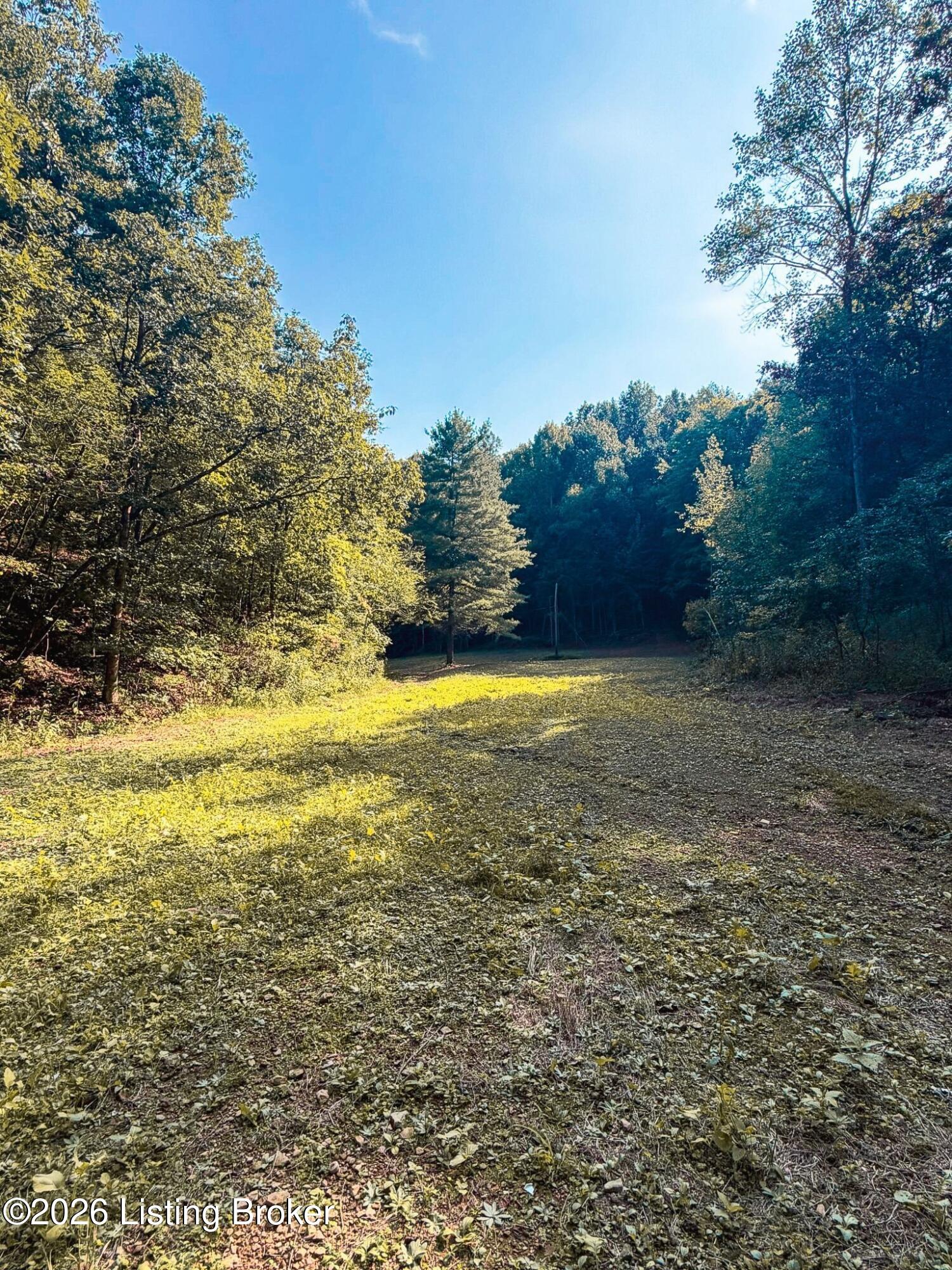 299 Musser Fork Rd Property Photo 4