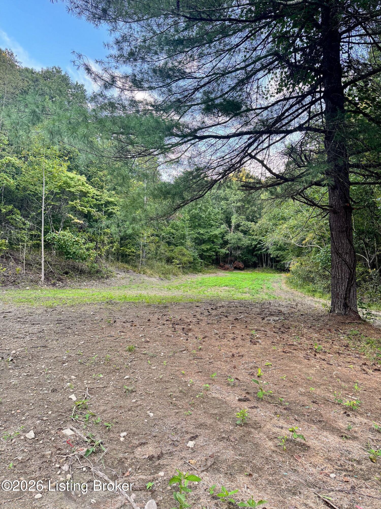 299 Musser Fork Rd Property Photo 6