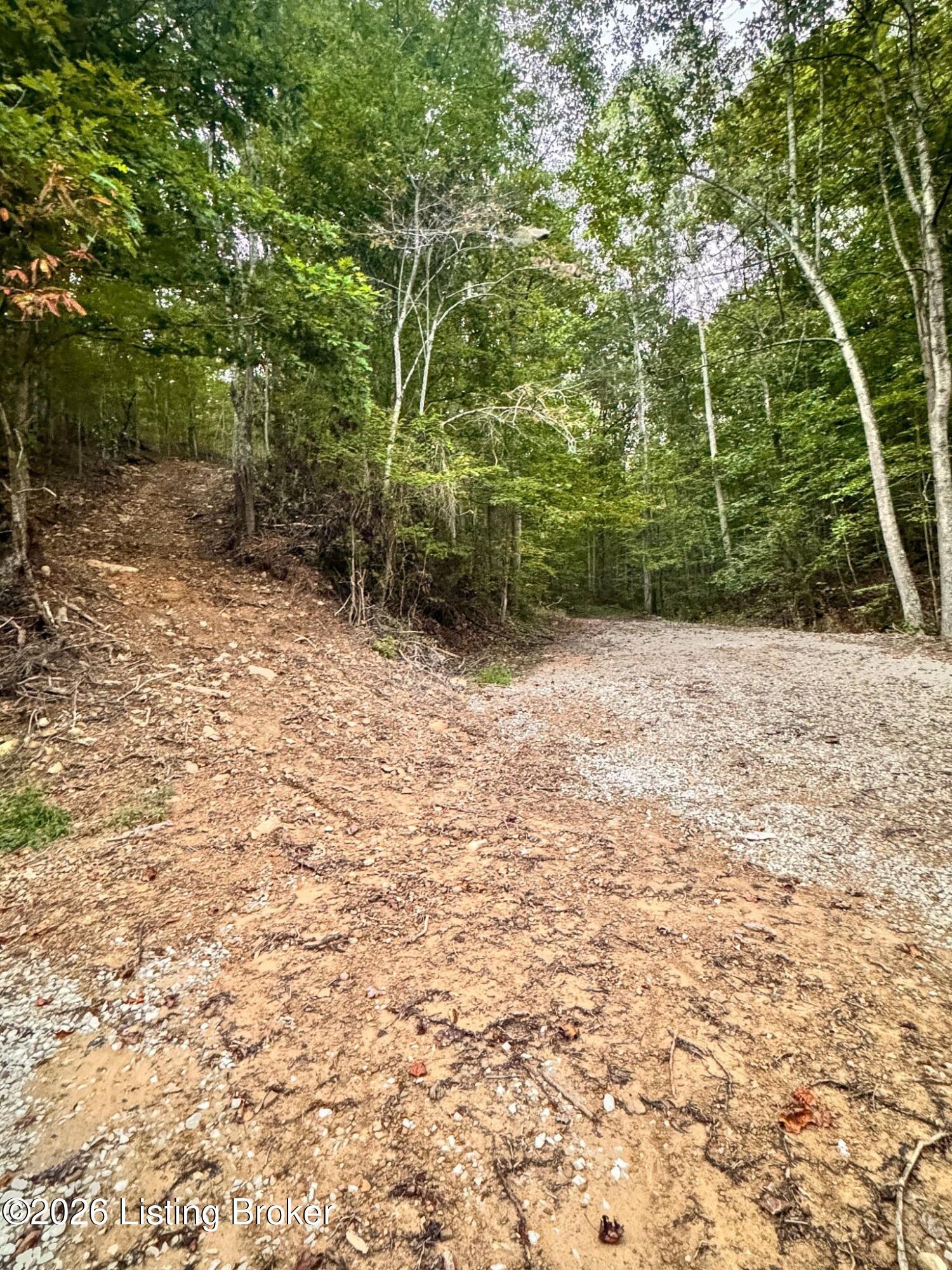 299 Musser Fork Rd Property Photo 7