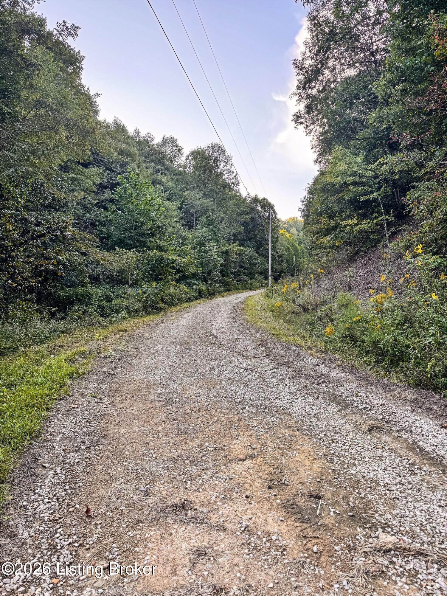 299 Musser Fork Rd Property Photo 14