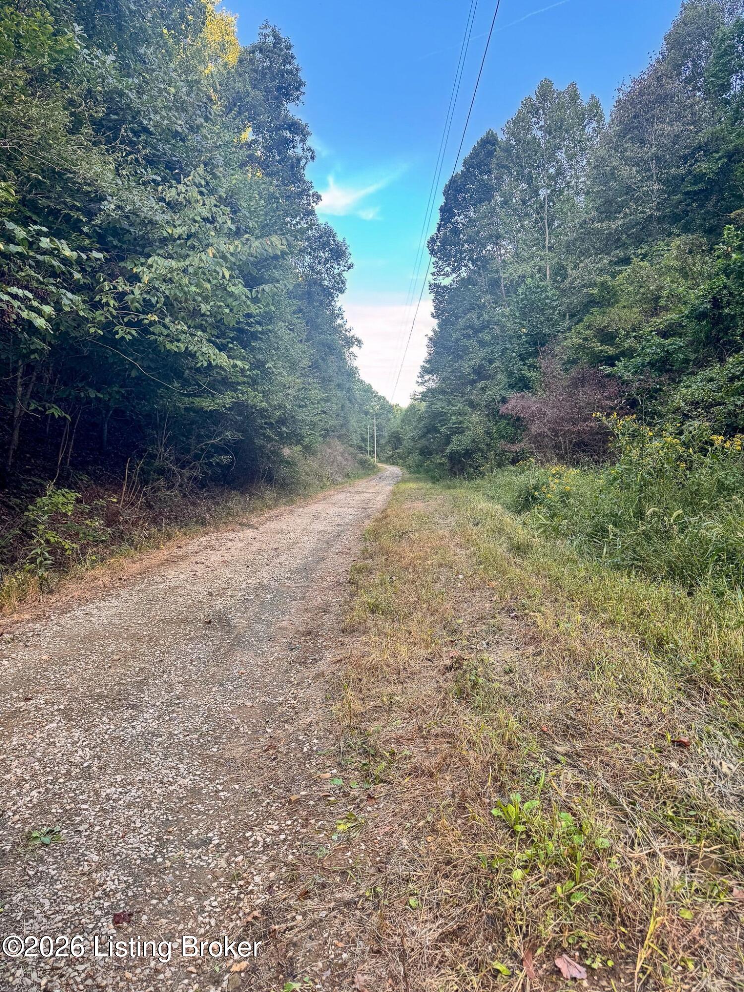 299 Musser Fork Rd Property Photo 15