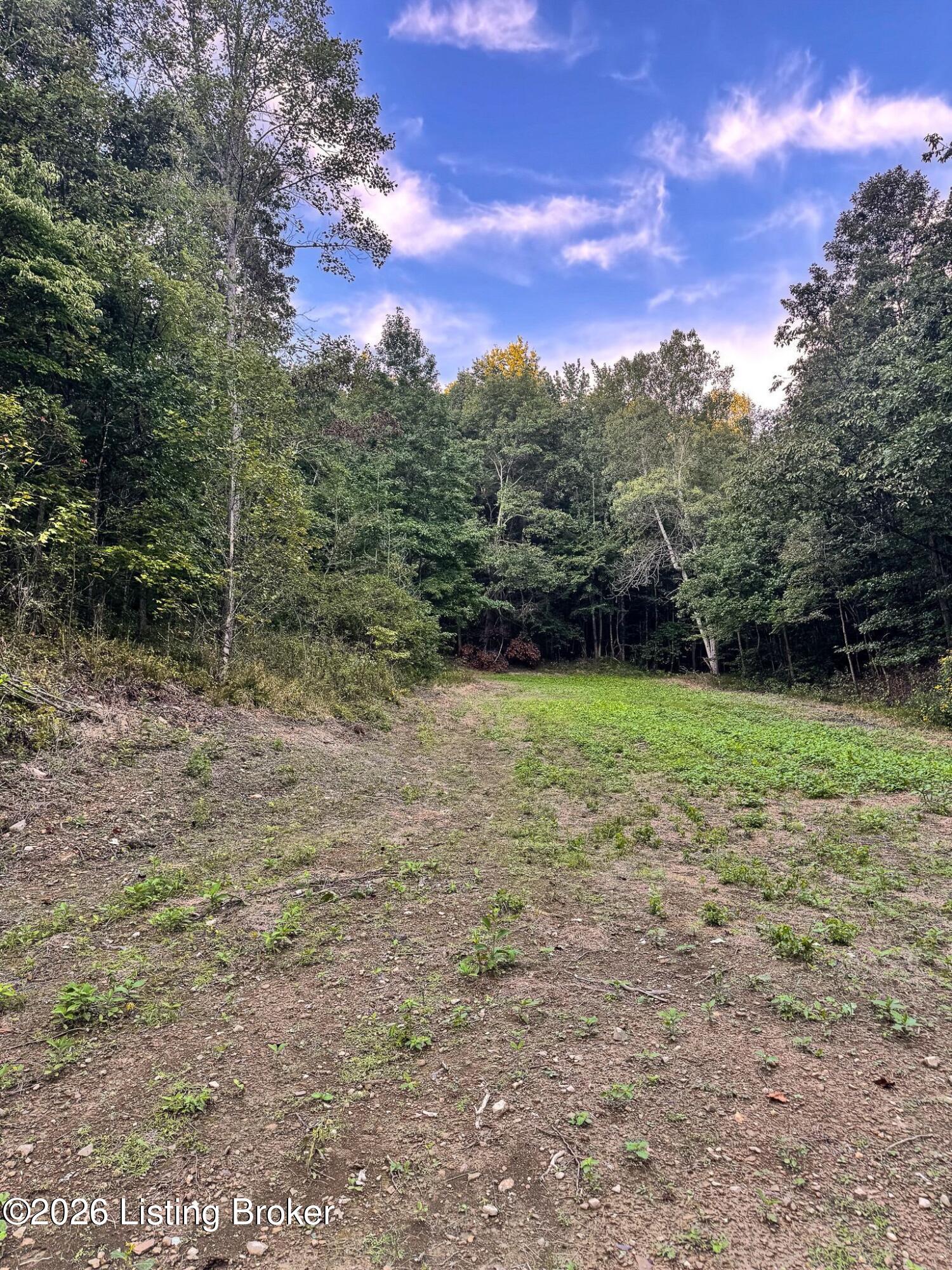 299 Musser Fork Rd Property Photo 17