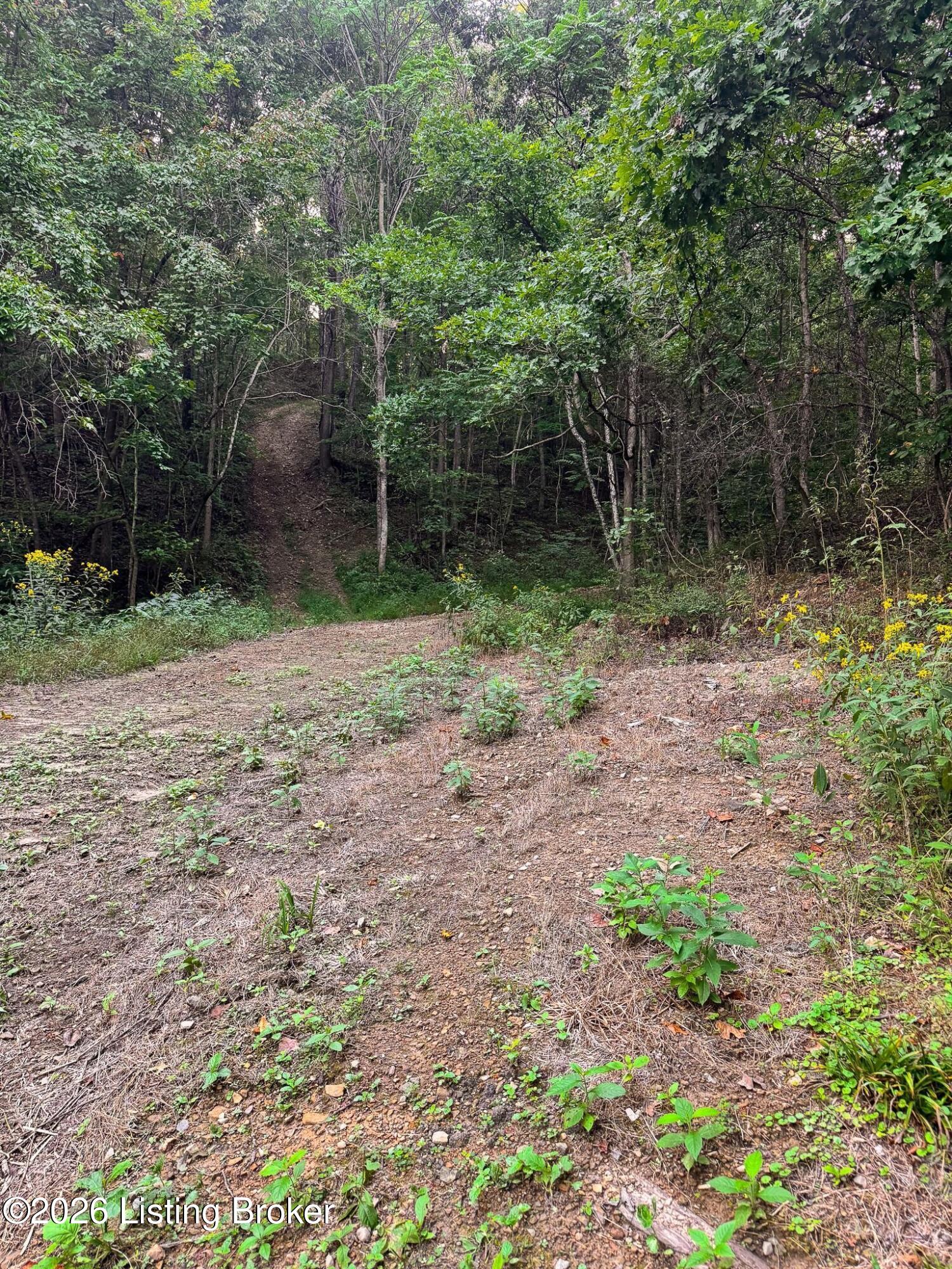 299 Musser Fork Rd Property Photo 21