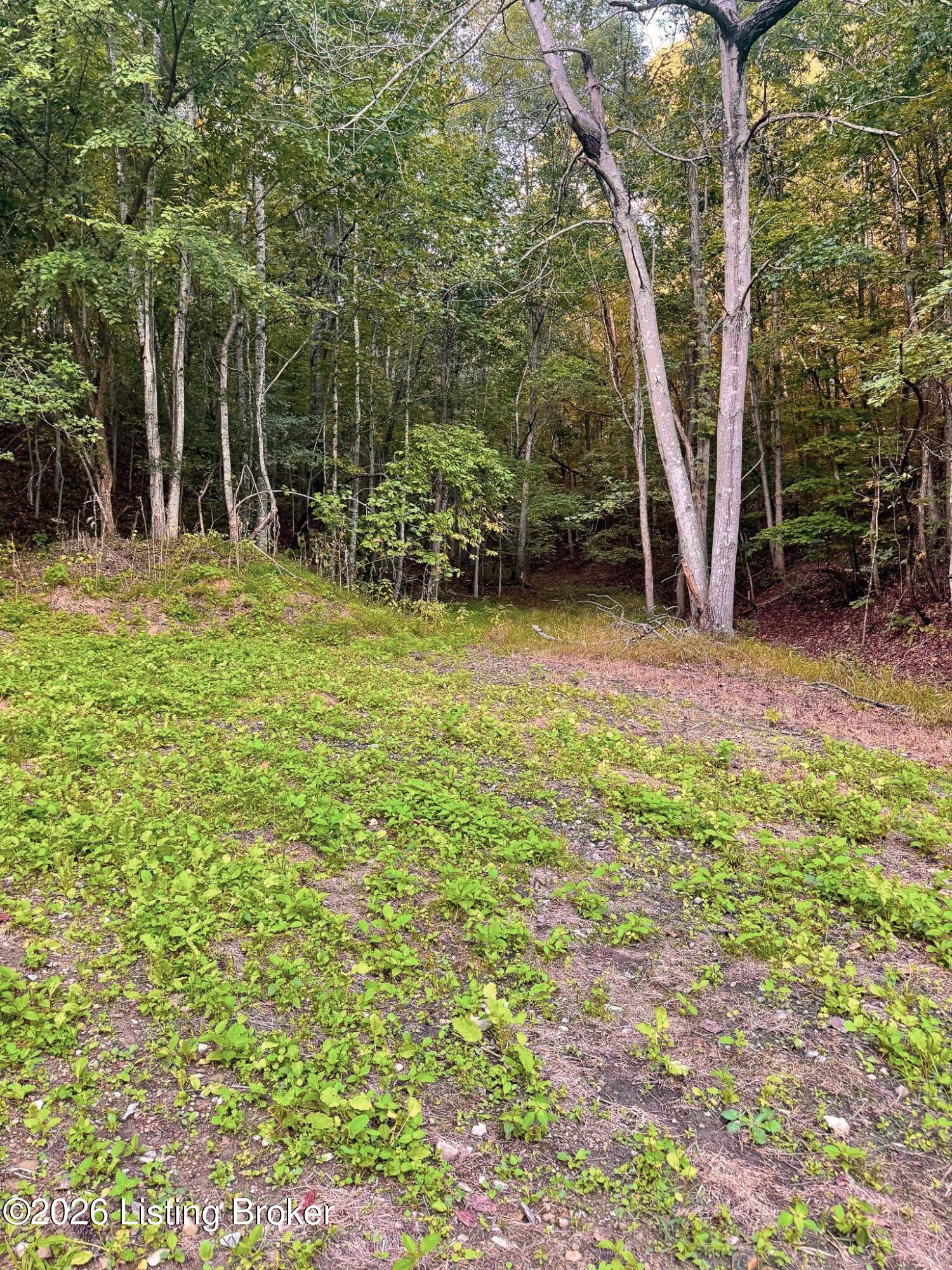 299 Musser Fork Rd Property Photo 21