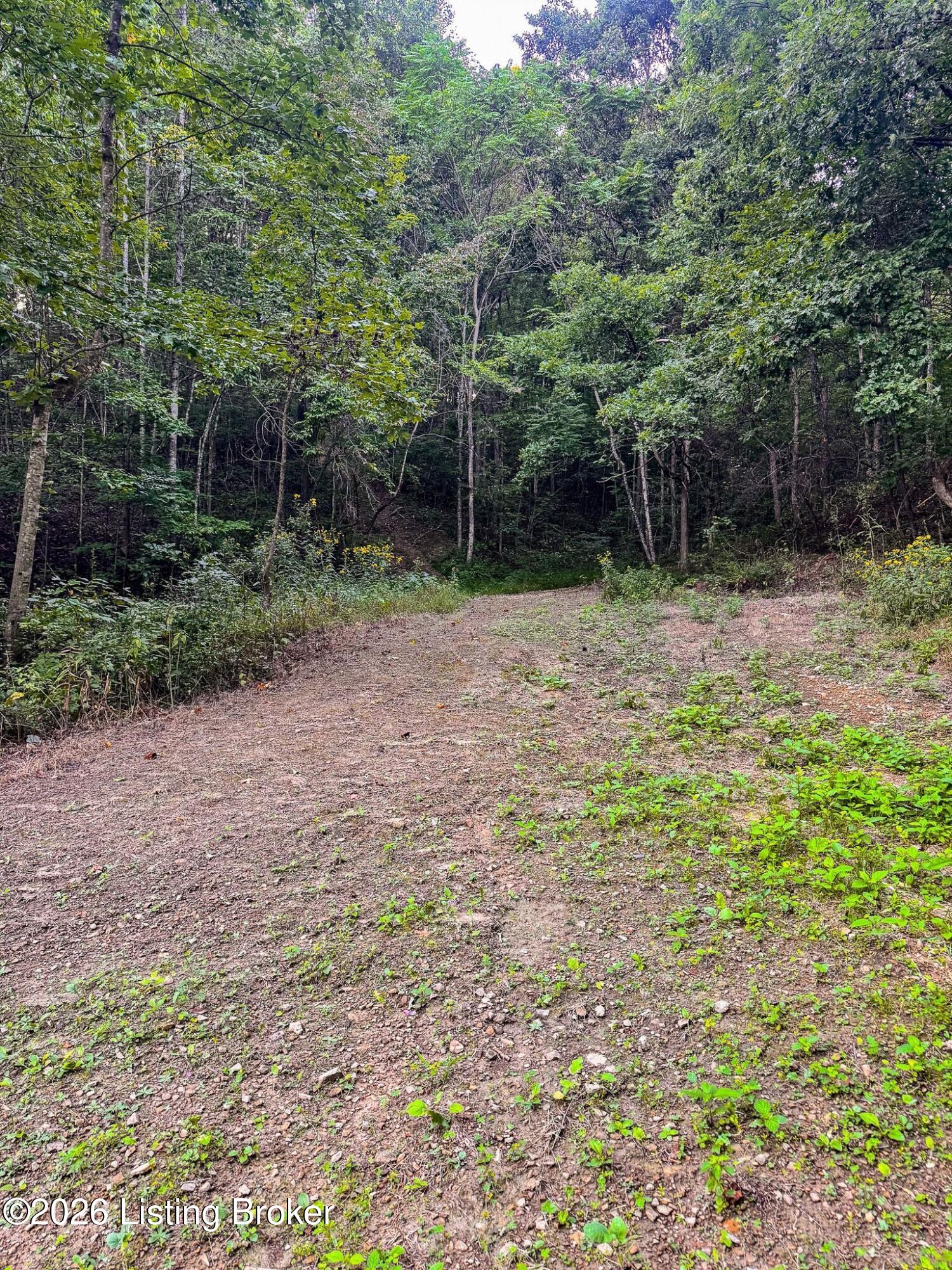 299 Musser Fork Rd Property Photo 22