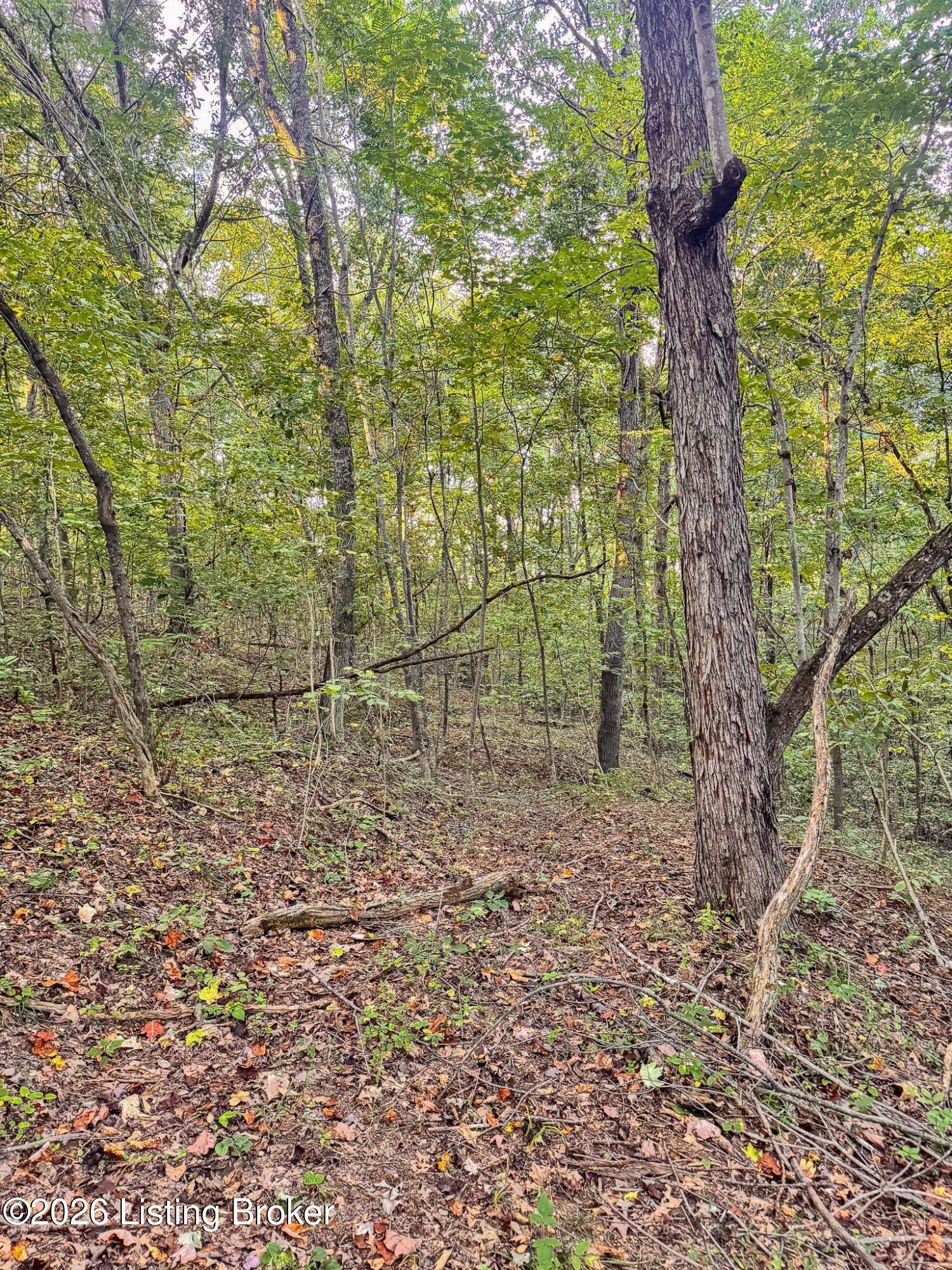 299 Musser Fork Rd Property Photo 23