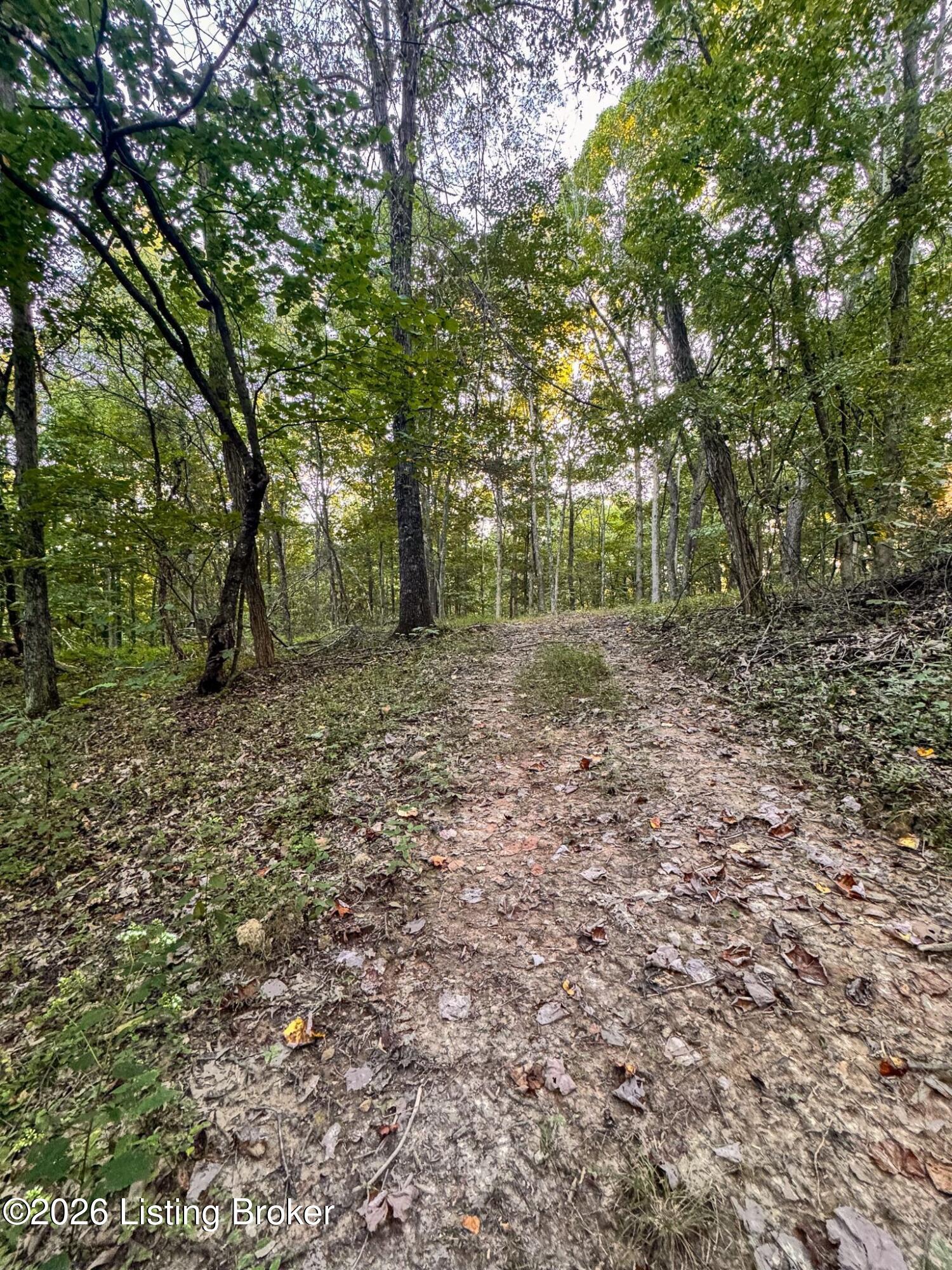 299 Musser Fork Rd Property Photo 24