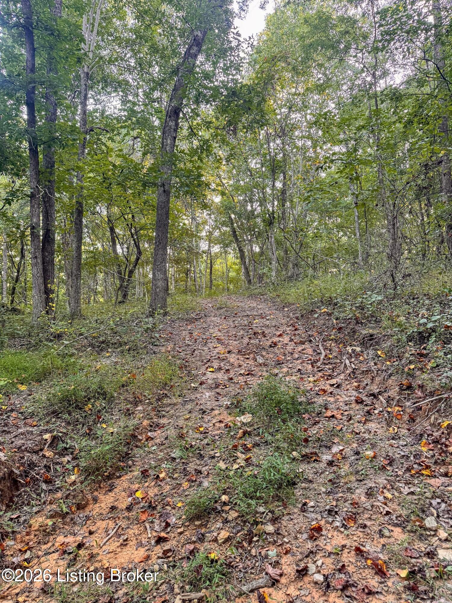 299 Musser Fork Rd Property Photo 24