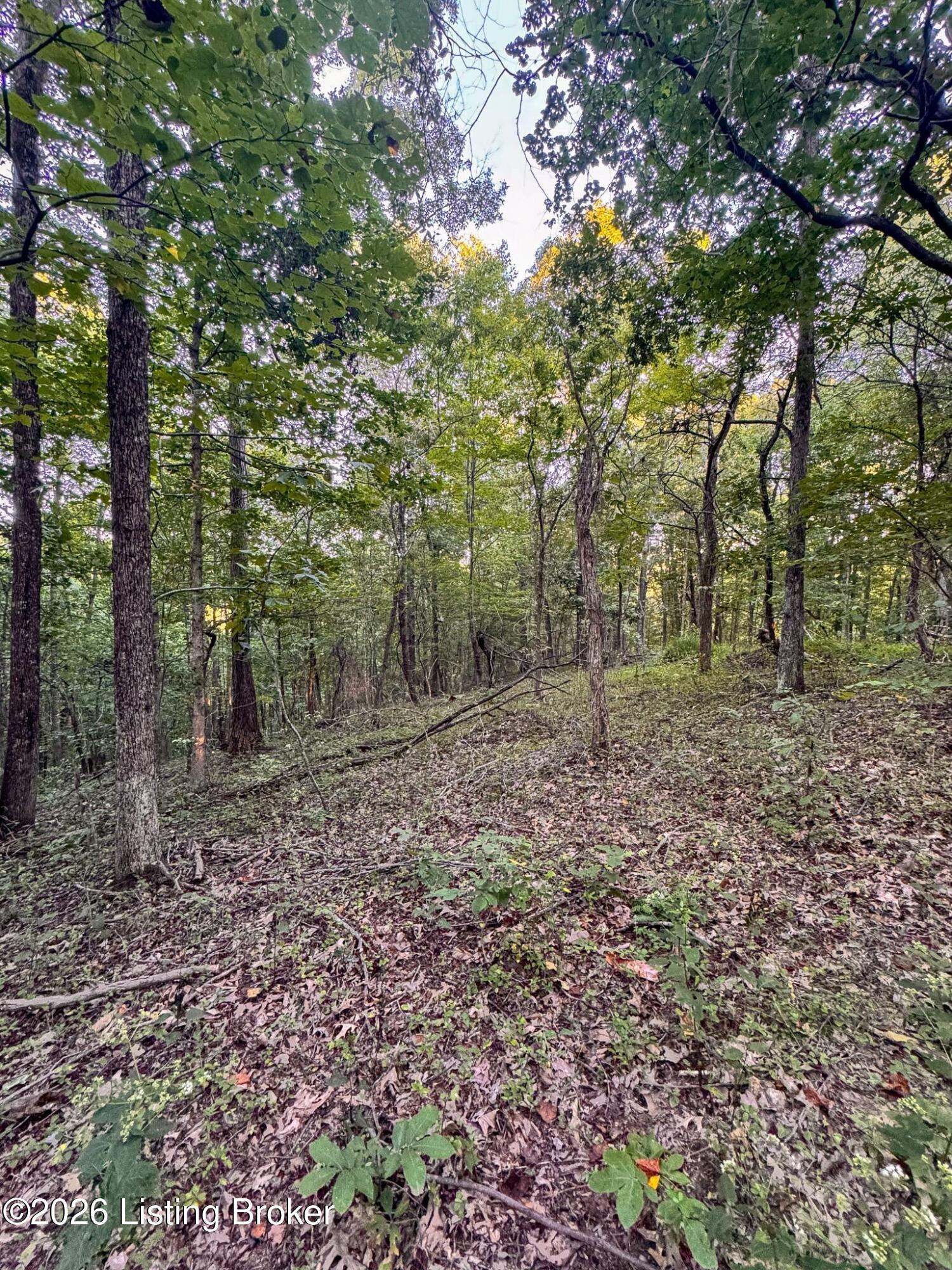 299 Musser Fork Rd Property Photo 25
