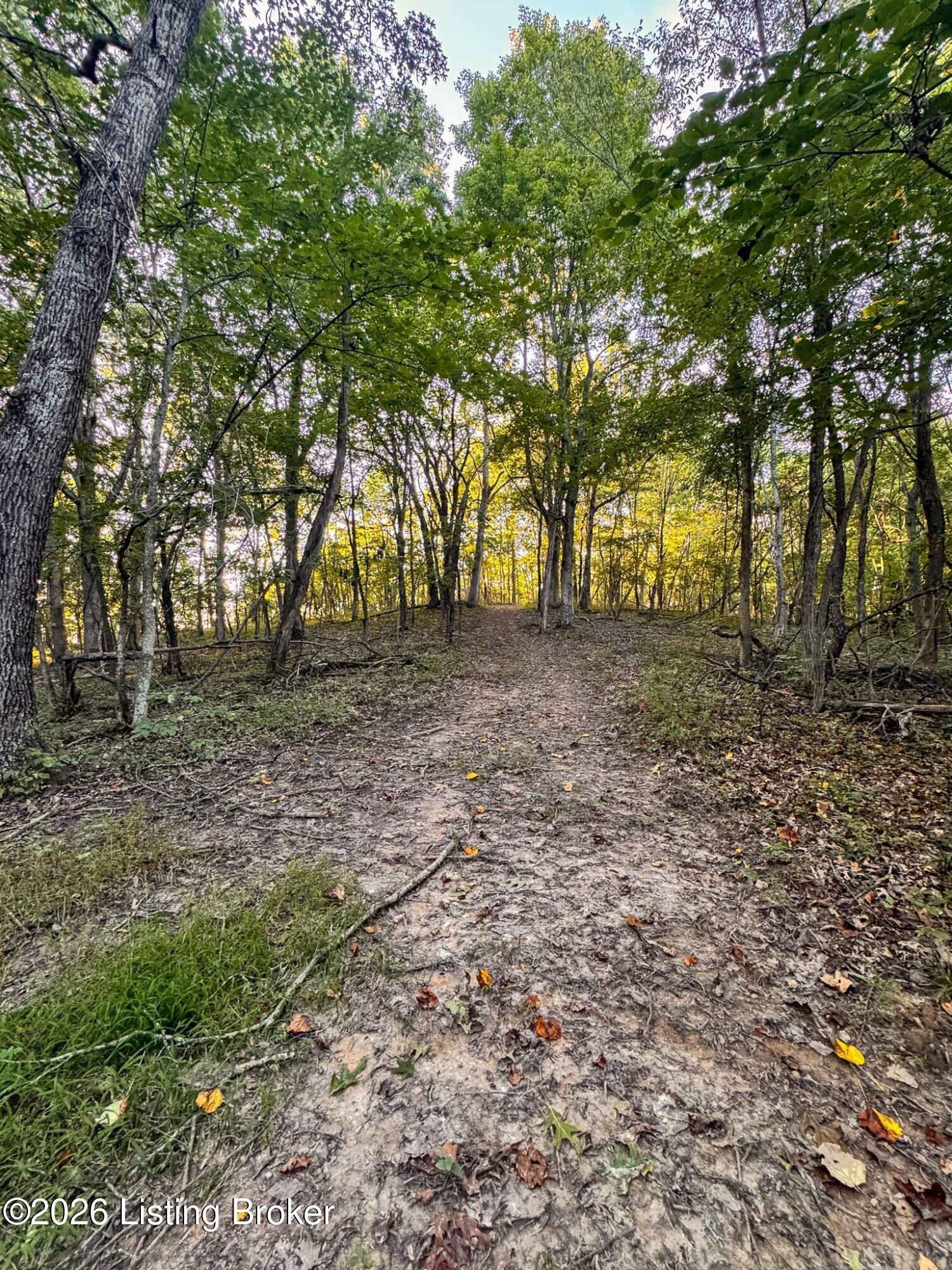 299 Musser Fork Rd Property Photo 28