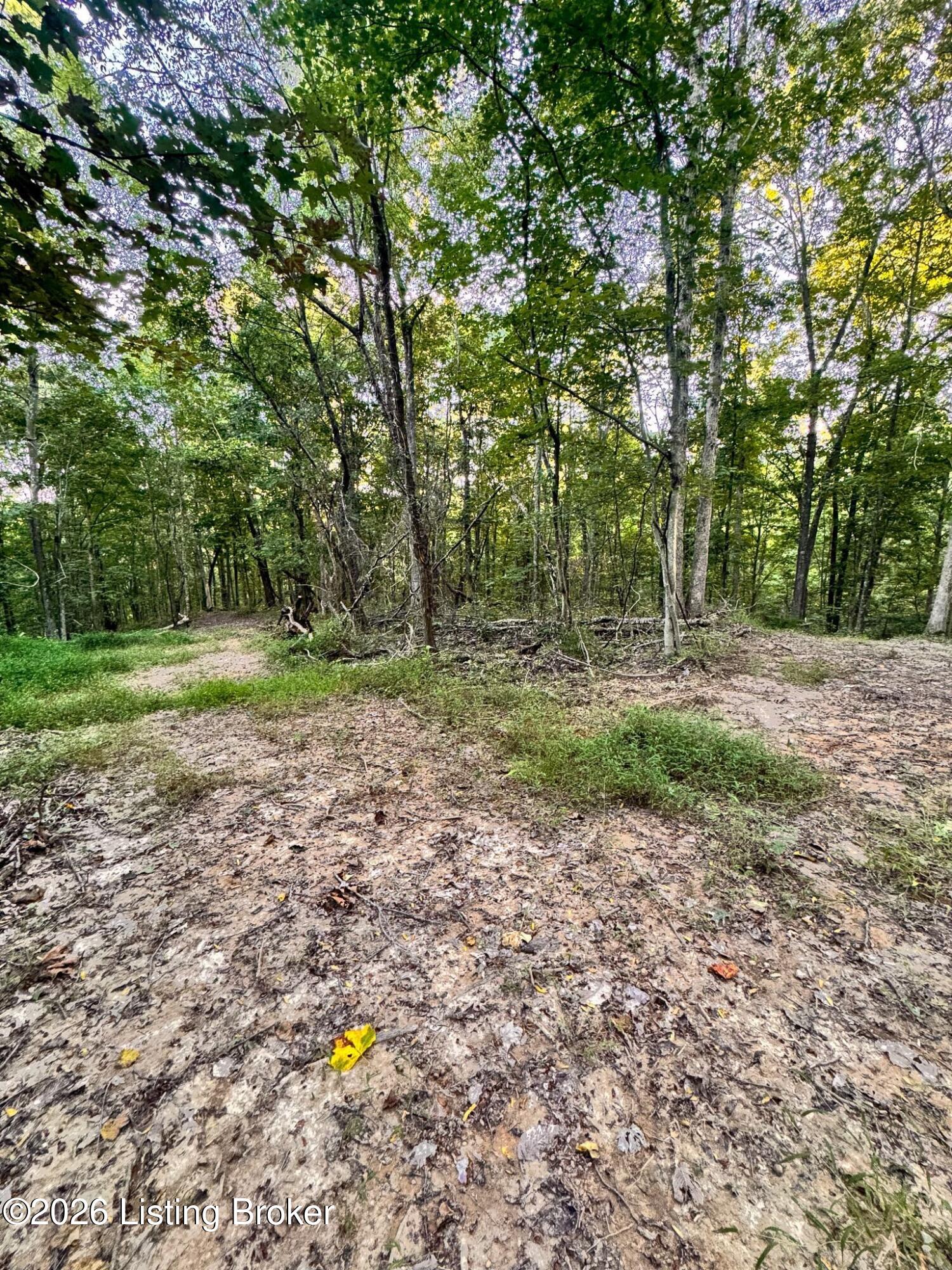 299 Musser Fork Rd Property Photo 29