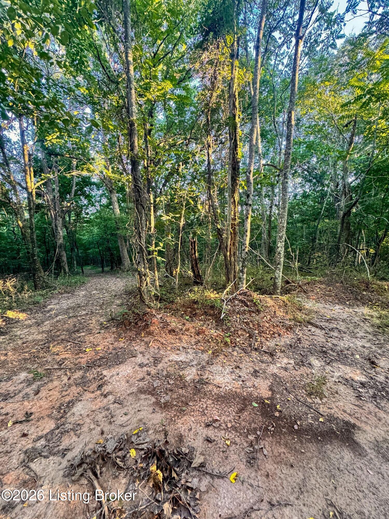 299 Musser Fork Rd Property Photo 32